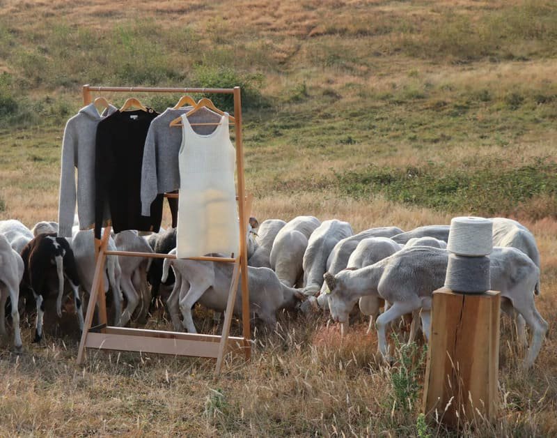 Hinh anh Từ đàn cừu đến sàn dệt, len cừu từ những đàn cừu dưới chân dãy Pyrénées (vùng Ariège) từng chỉ là phụ phẩm bị lãng phí trong chuỗi cung ứng thời trang toàn cầu. 1