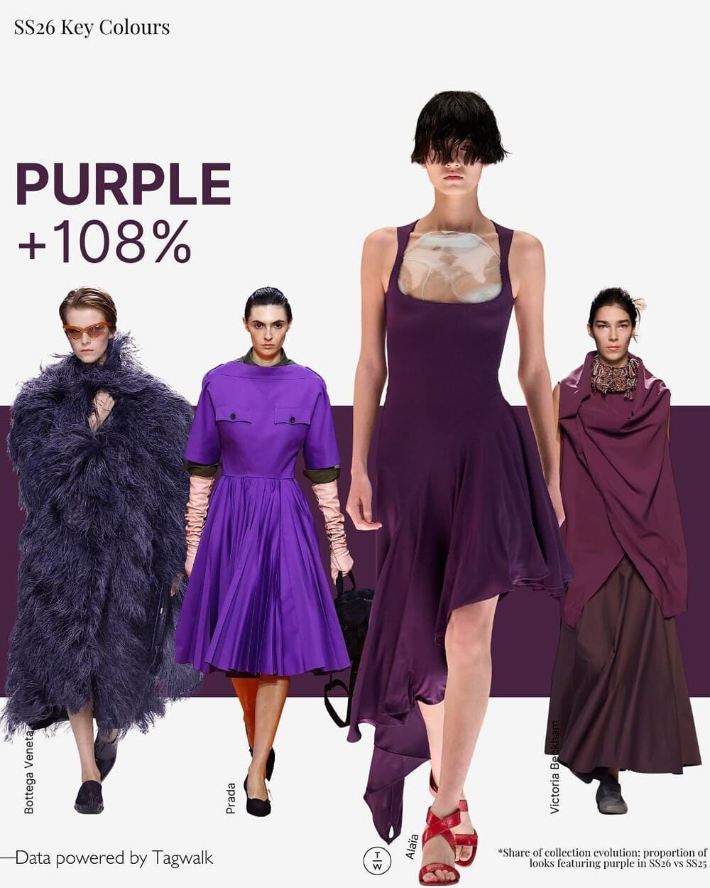 Hinh anh Tím: Sắc màu của trực giác và bản lĩnh 1