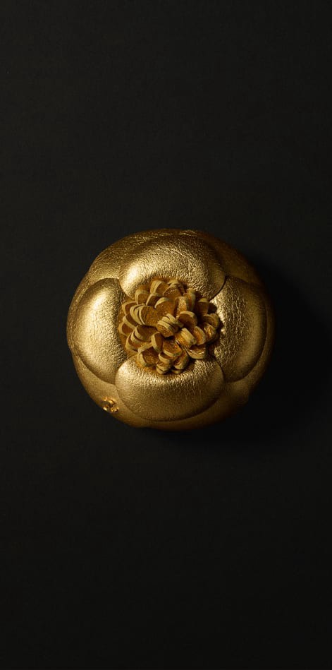 Hinh anh  Tại sao Métiers d'Arts là bộ sưu tập quan trọng nhất năm của Chanel? 10