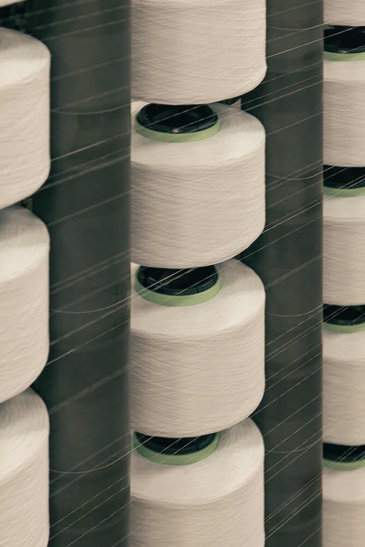 Hinh anh COS: Ngôi sao đang lên của thời trang đương đại 22