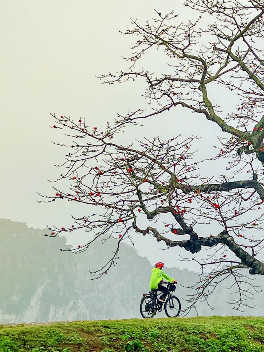 Đạp xe ngang qua ‘mùa vàng’ hai dãy Tây - Đông