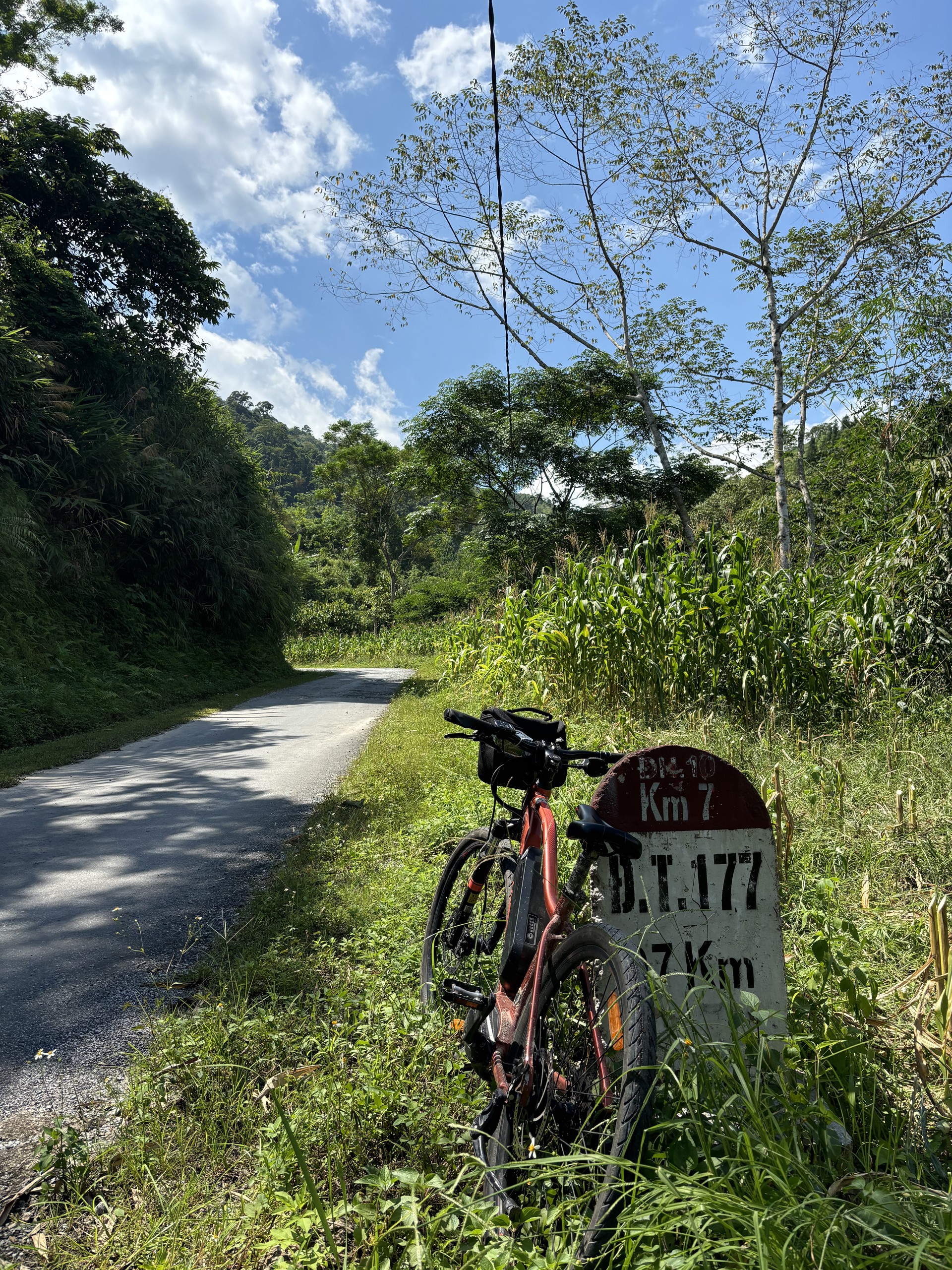 Đạp xe ngang qua ‘mùa vàng’ hai dãy Tây - Đông