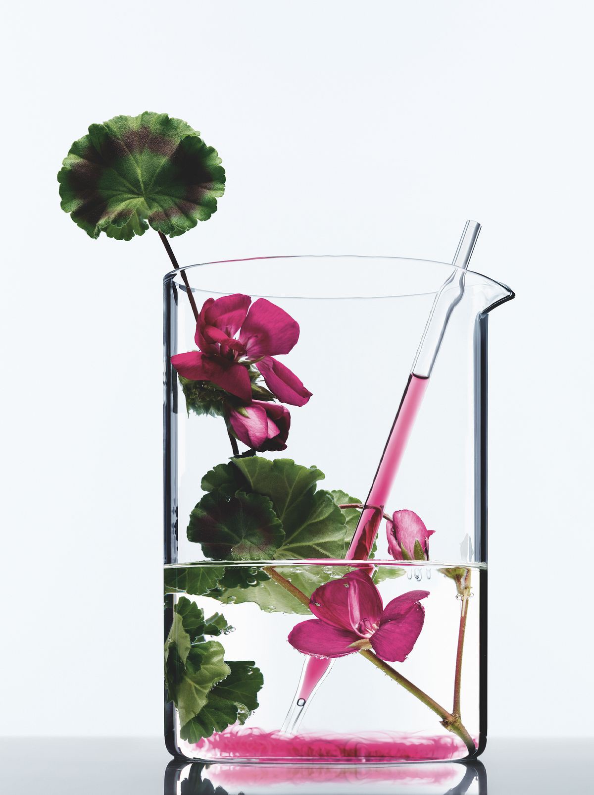 Hinh anh Vì sao các thương hiệu mỹ phẩm Hàn được ưa chuộng trên toàn cầu? 1