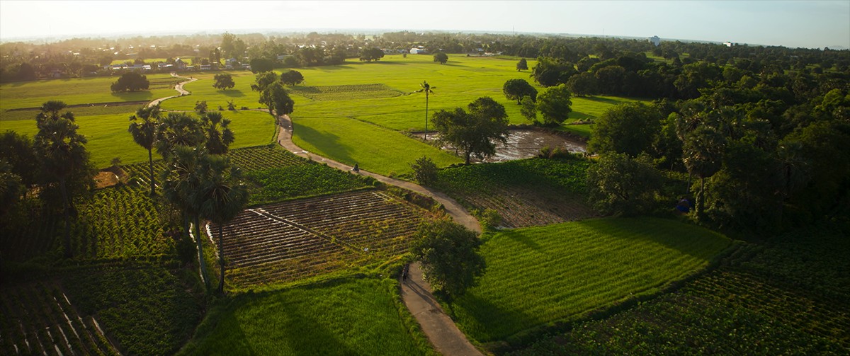 Hình ảnh bình dị mà gần gũi từ bộ phim