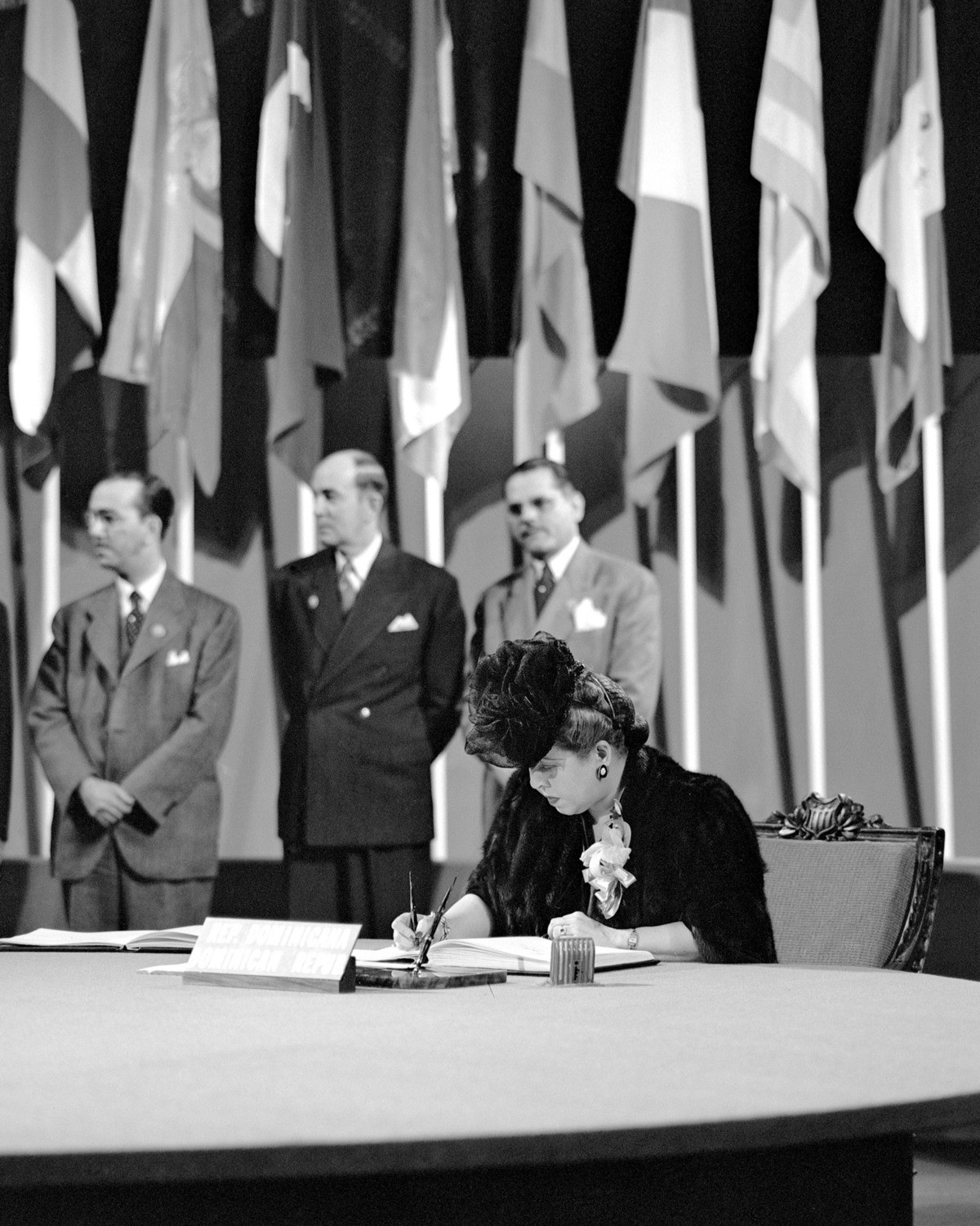 Hinh anh Những người phụ nữ đứng sau Tuyên ngôn Quốc tế Nhân quyền 3