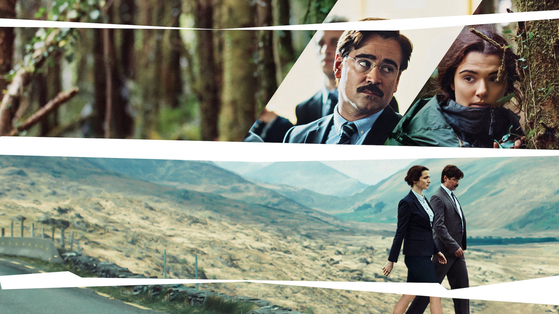 Hinh anh Tuy nhiên, khi tình yêu được đặt trong một cấu trúc thi đấu, có luật chơi, thời hạn và máy quay luôn chực chờ, câu hỏi đặt ra không còn là ai sẽ yêu ai, mà là điều gì đang thực sự được tìm kiếm. Và có lẽ, nếu trông đợi tình yêu từ những show hẹn hò thì có lẽ ta đang... nhầm chỗ. 1