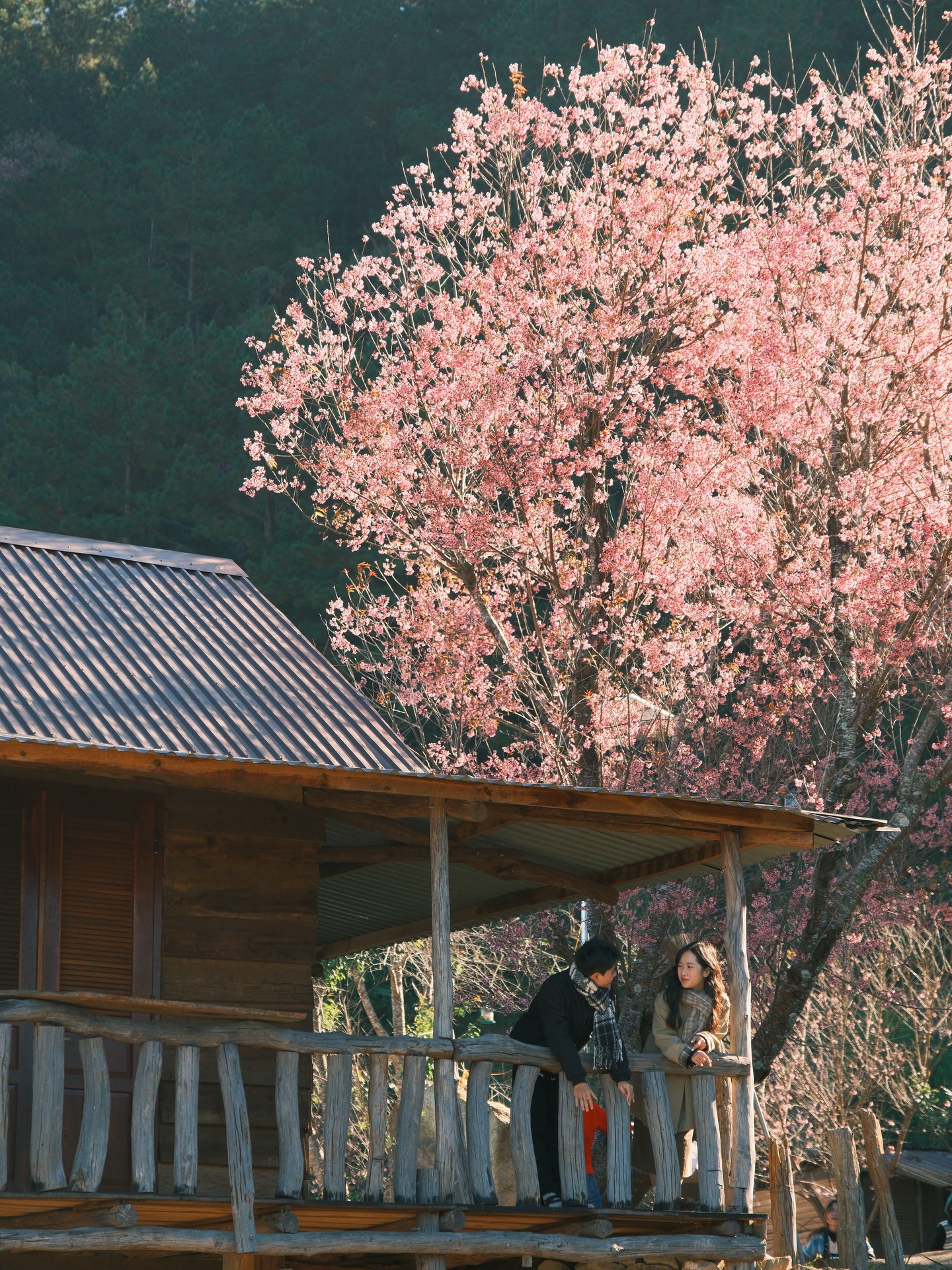 Hinh anh Có Tết 2026: Việt Nam và hành trình khám phá tên gọi khác của những thành phố thân thuộc 10