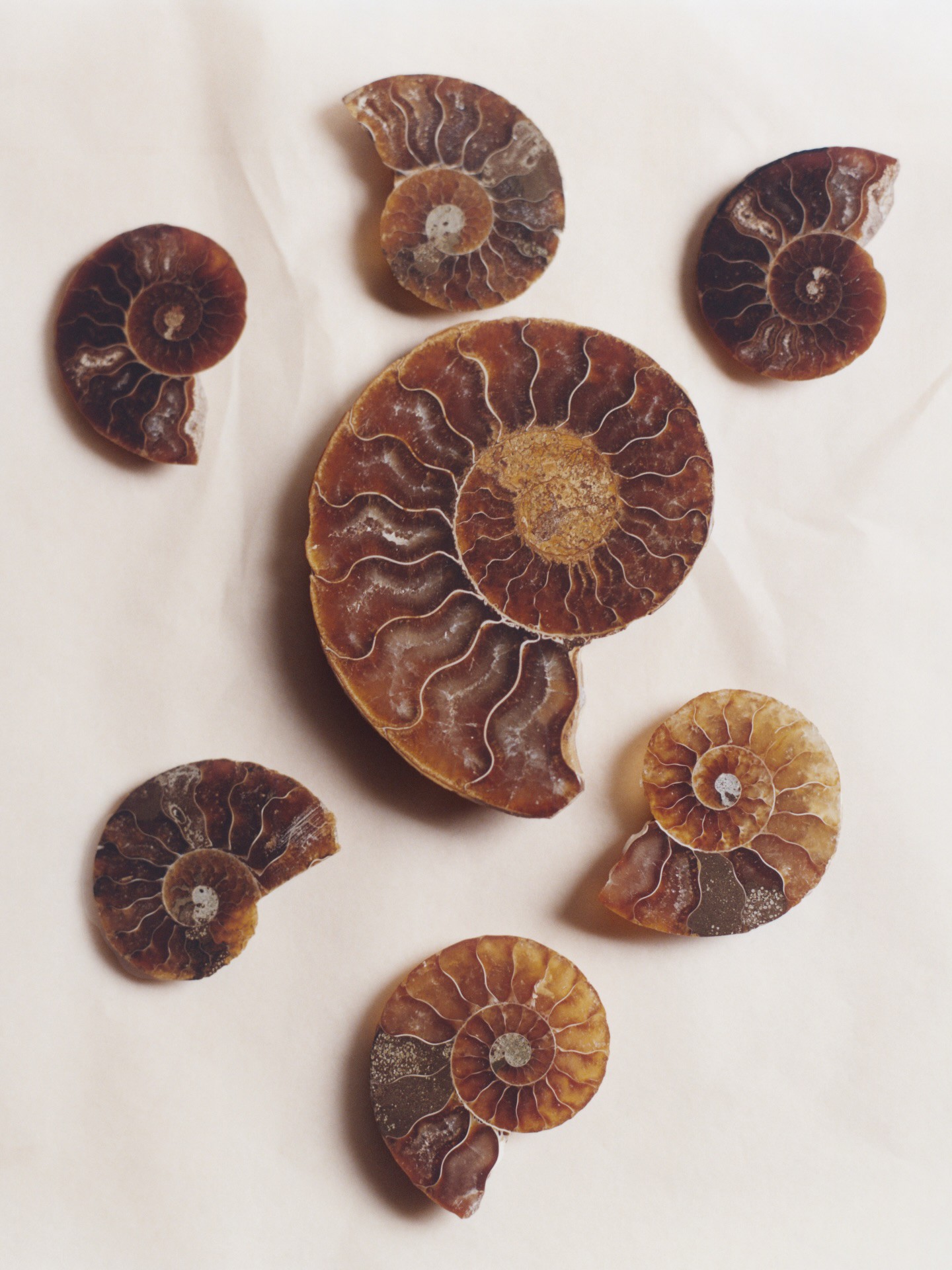 Hinh anh Jonathan Anderson và phép thử Haute Couture: “Kẻ dị biệt” học cách khiêm nhường tại Dior 45