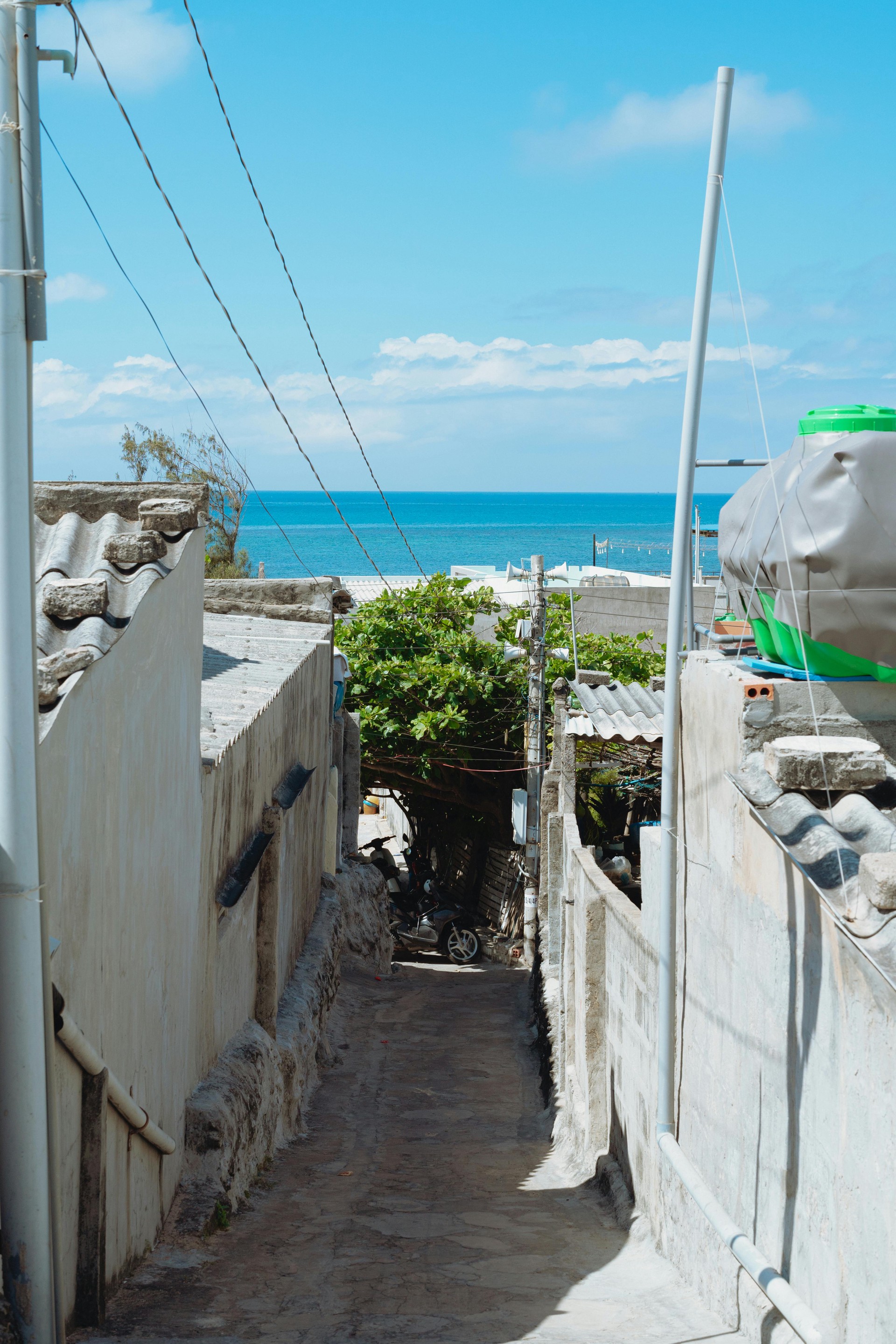 Hinh anh Tại sao Phú Quý lại trở thành điểm đến "phải ghé thăm" năm 2026? 11