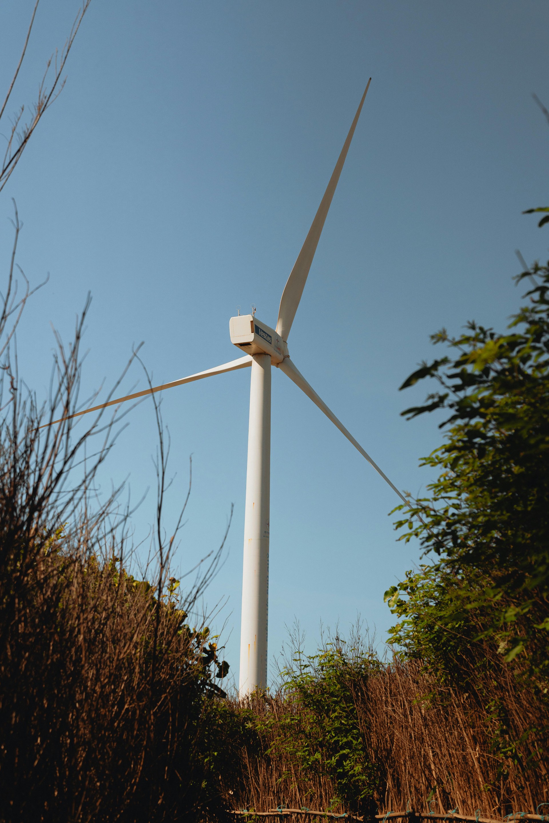 Hinh anh Tại sao Phú Quý lại trở thành điểm đến "phải ghé thăm" năm 2026? 10