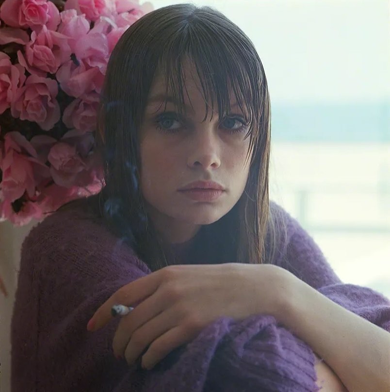 Hinh anh Andy Warhol từng nói rằng Edie là một ngôi sao vì cô cháy quá rực rỡ và chính sự rực rỡ ngắn ngủi ấy đã trở thành huyền thoại. 17