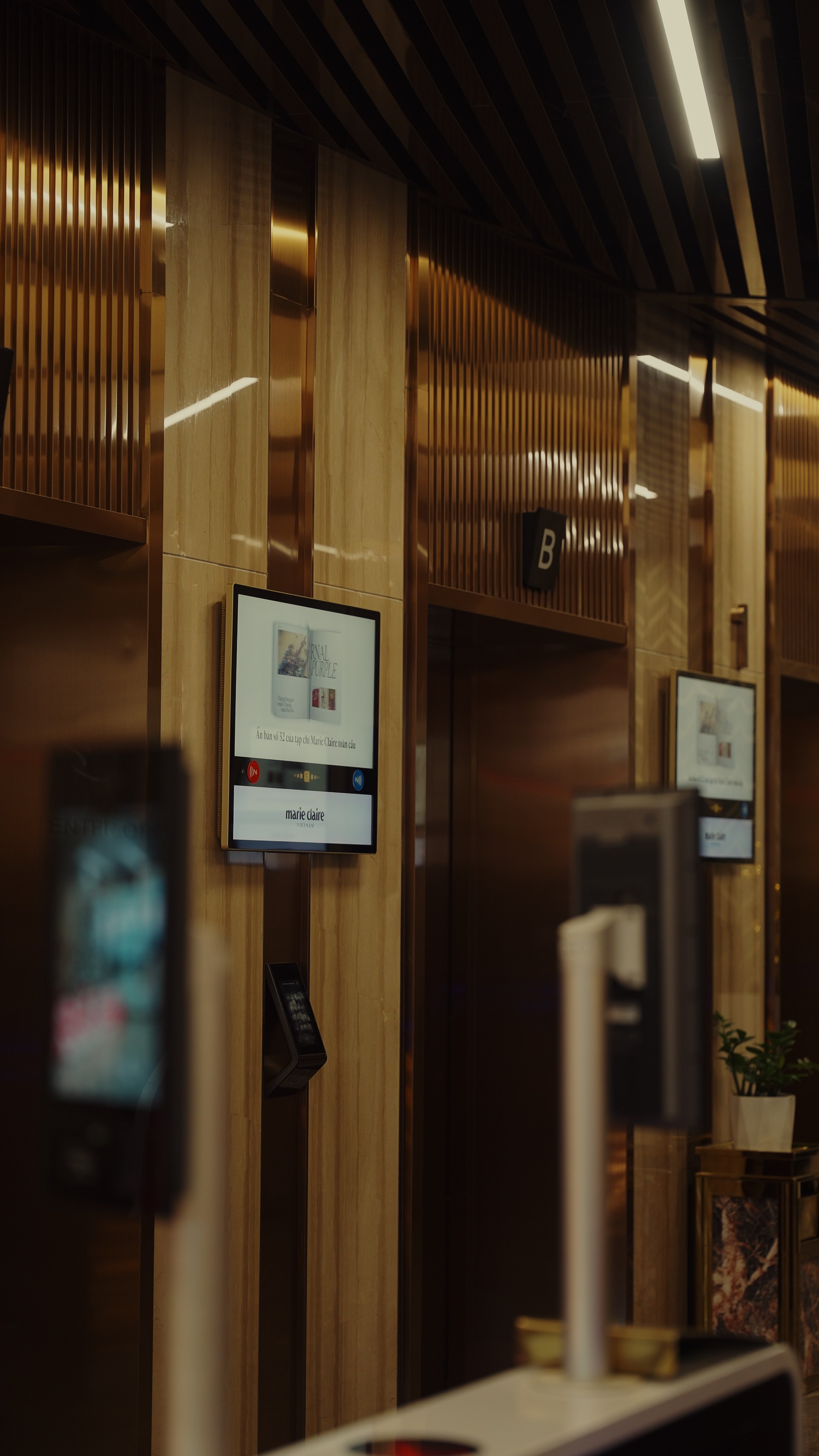 Hinh anh Việt Nam thắt chặt quảng cáo trực tuyến, mở ra thời đại "quảng cáo bền vững" 6