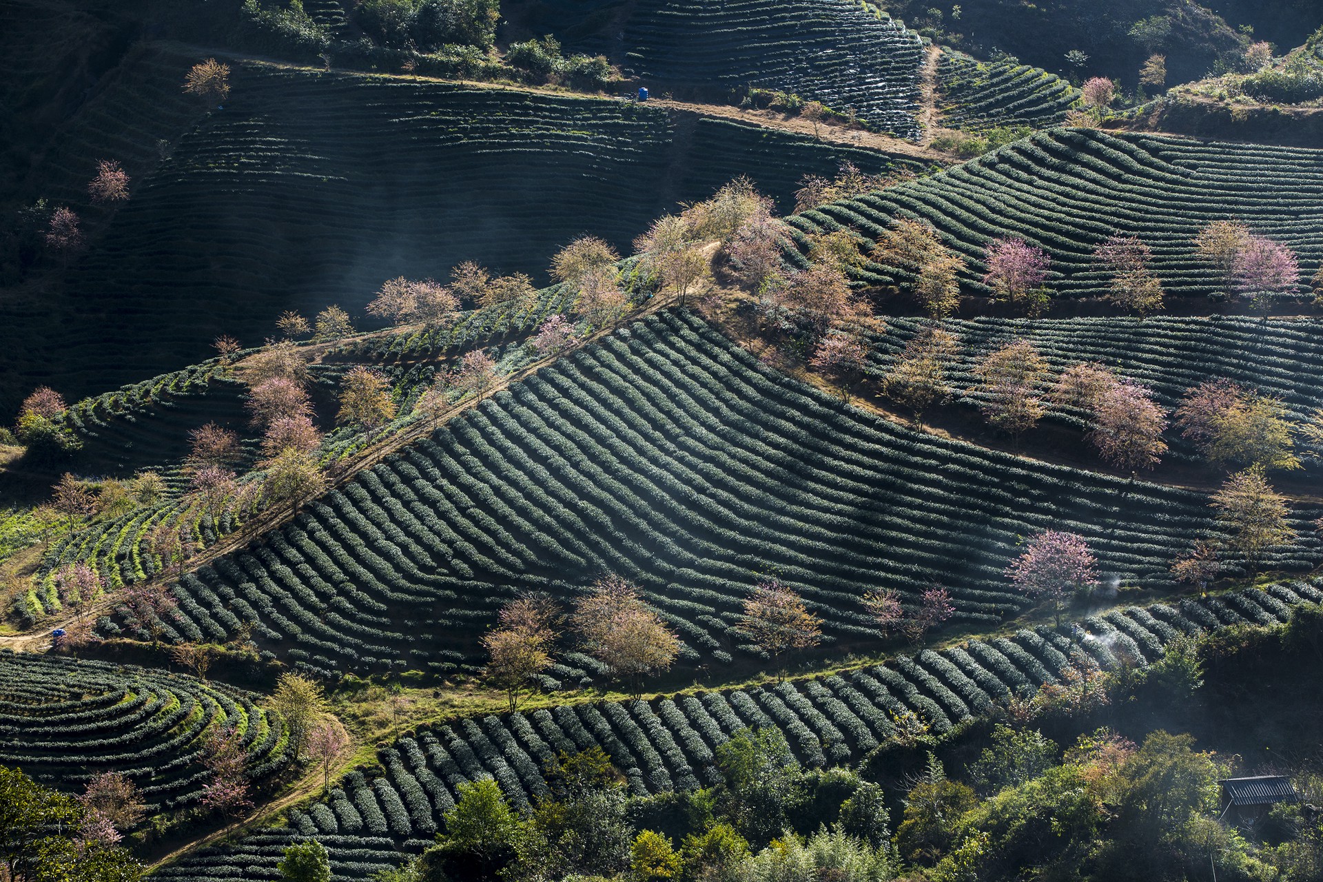 Hinh anh Hotel de la Coupole Sapa: Ngôn ngữ lãng mạn trong không gian kiến trúc Indochine 3