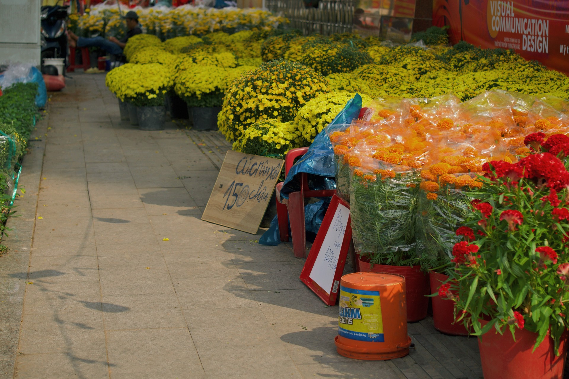 Hinh anh Những điểm hoa Tết tự phát: nơi Tết đến rồi đi qua trong im lặng 3