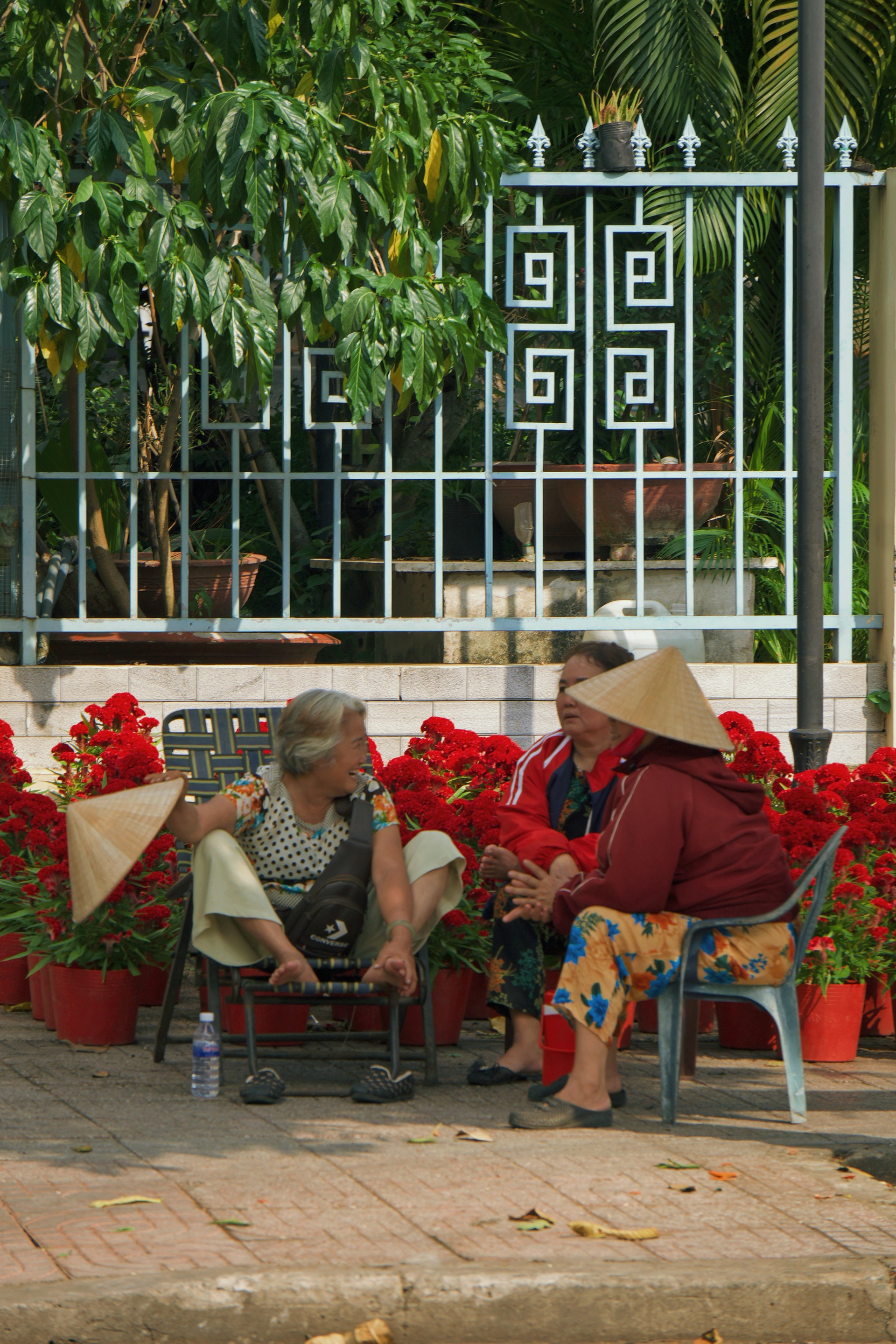 Hinh anh Những điểm hoa Tết tự phát: nơi Tết đến rồi đi qua trong im lặng 4