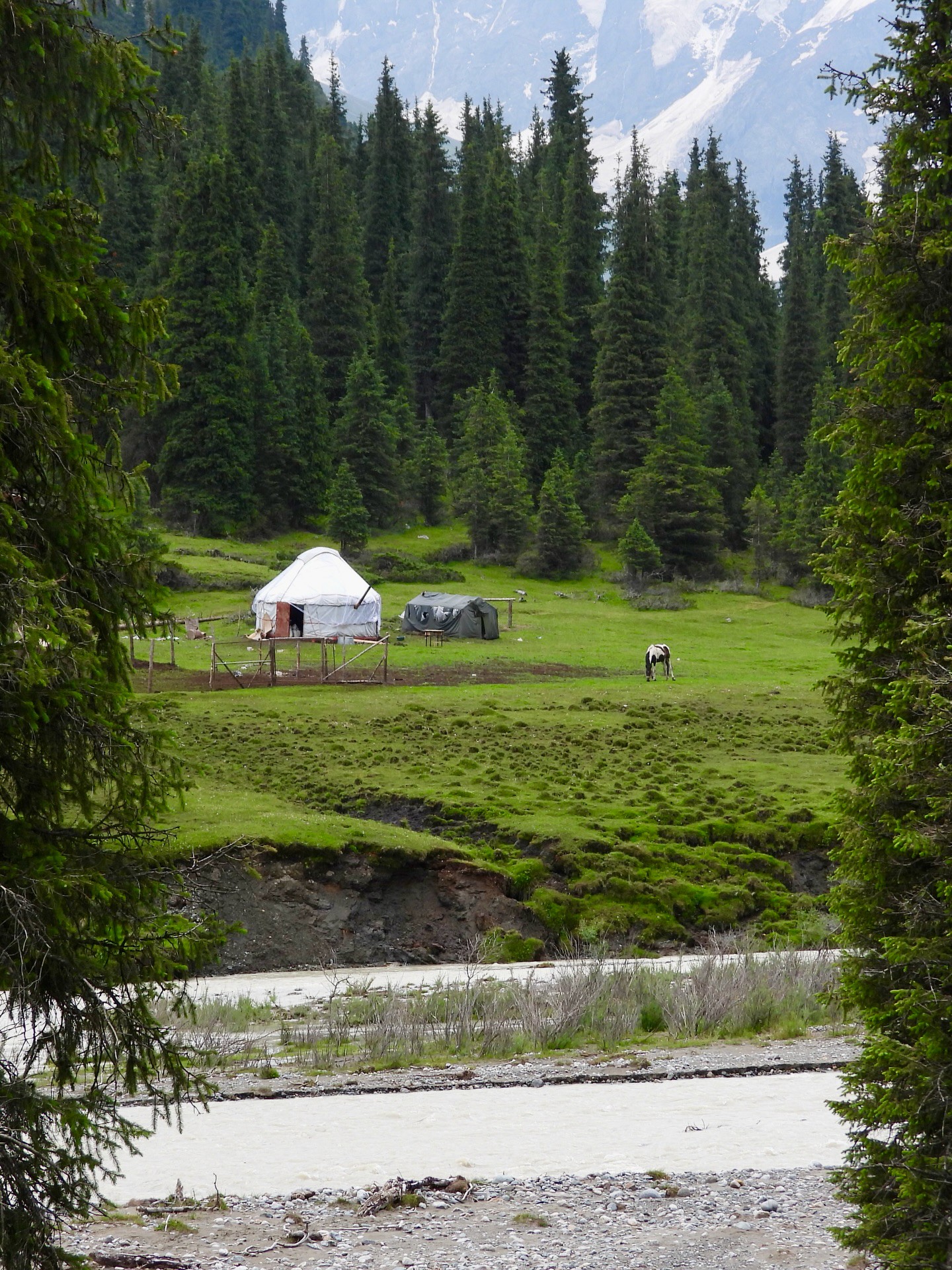 Hinh anh Hành trình qua những giấc mơ: Đi tìm sự tự do bên trong bạn 1