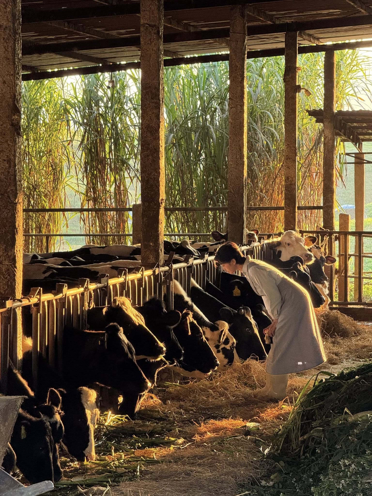 Hinh anh Nếu các gia đình khác đêm giao thừa có thể ăn cơm tất niên, xem Táo Quân, thì gia đình tôi đón Tết rất khác. Mấy mẹ con đi làm, một mình ba ở lại thành phố. Tết đến, bạn bè xúng xính quần áo mới đi chơi, còn đó lại là lúc tôi thấy mình xấu nhất - diễn viên Ngọc Xuân. 5