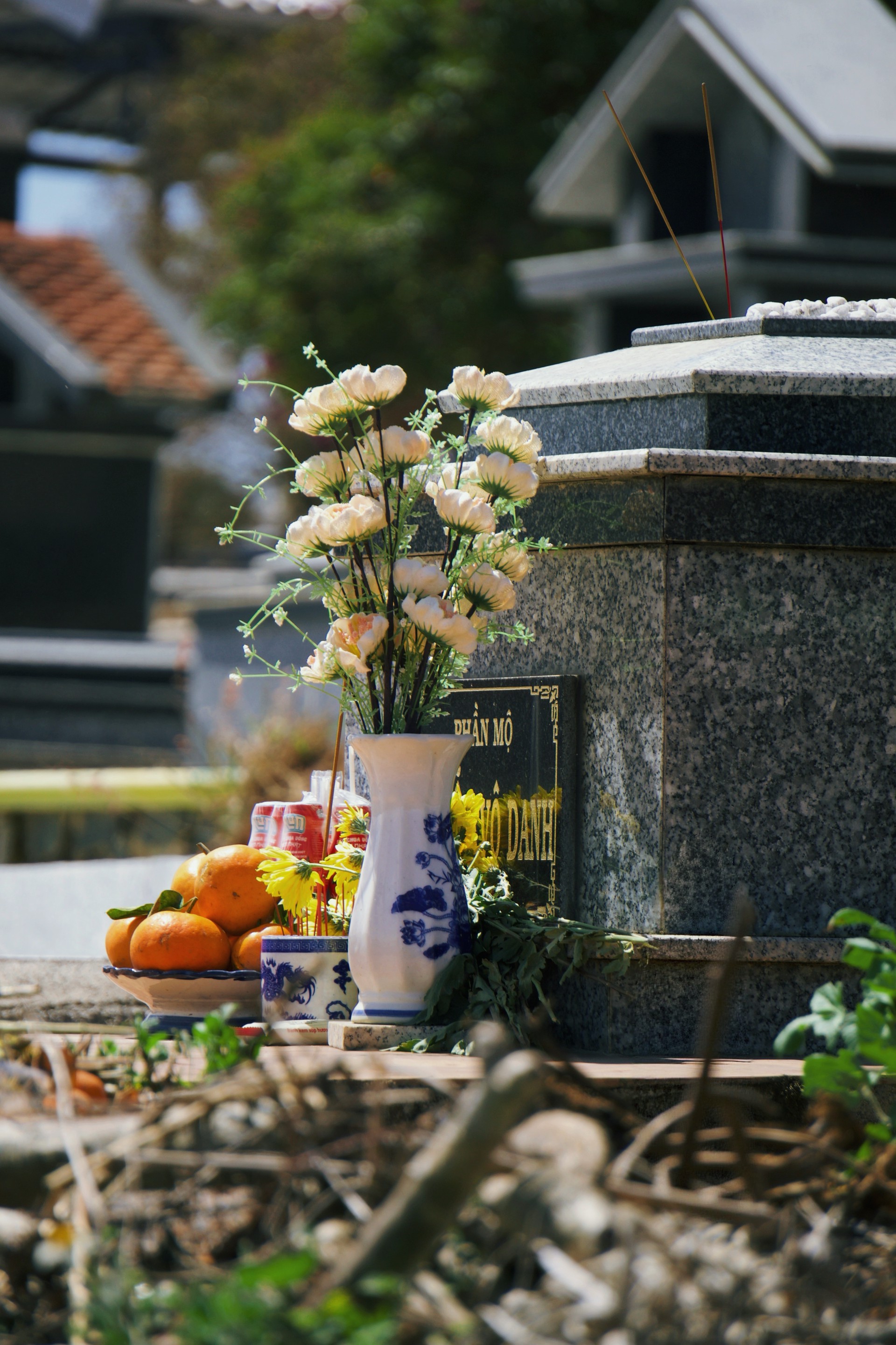 Hinh anh Có Tết 2026: Tết của người Công giáo, một mùa Xuân 'quen' rất khác 11