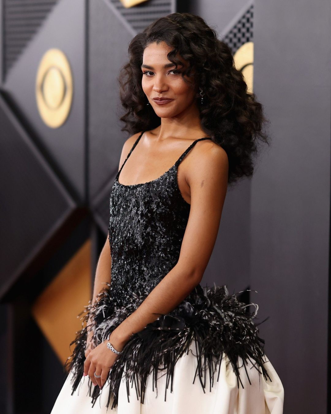 Hinh anh Cartier đồng hành cùng các ngôi sao âm nhạc trên thảm đỏ Grammy 2