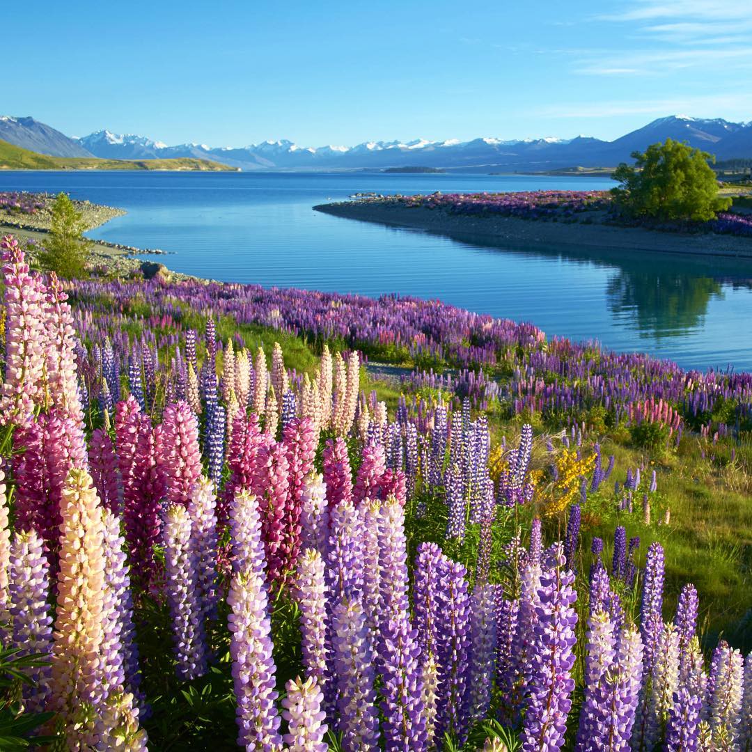 Hinh anh Hành trình qua những giấc mơ: Đi tìm sự tự do bên trong bạn 10