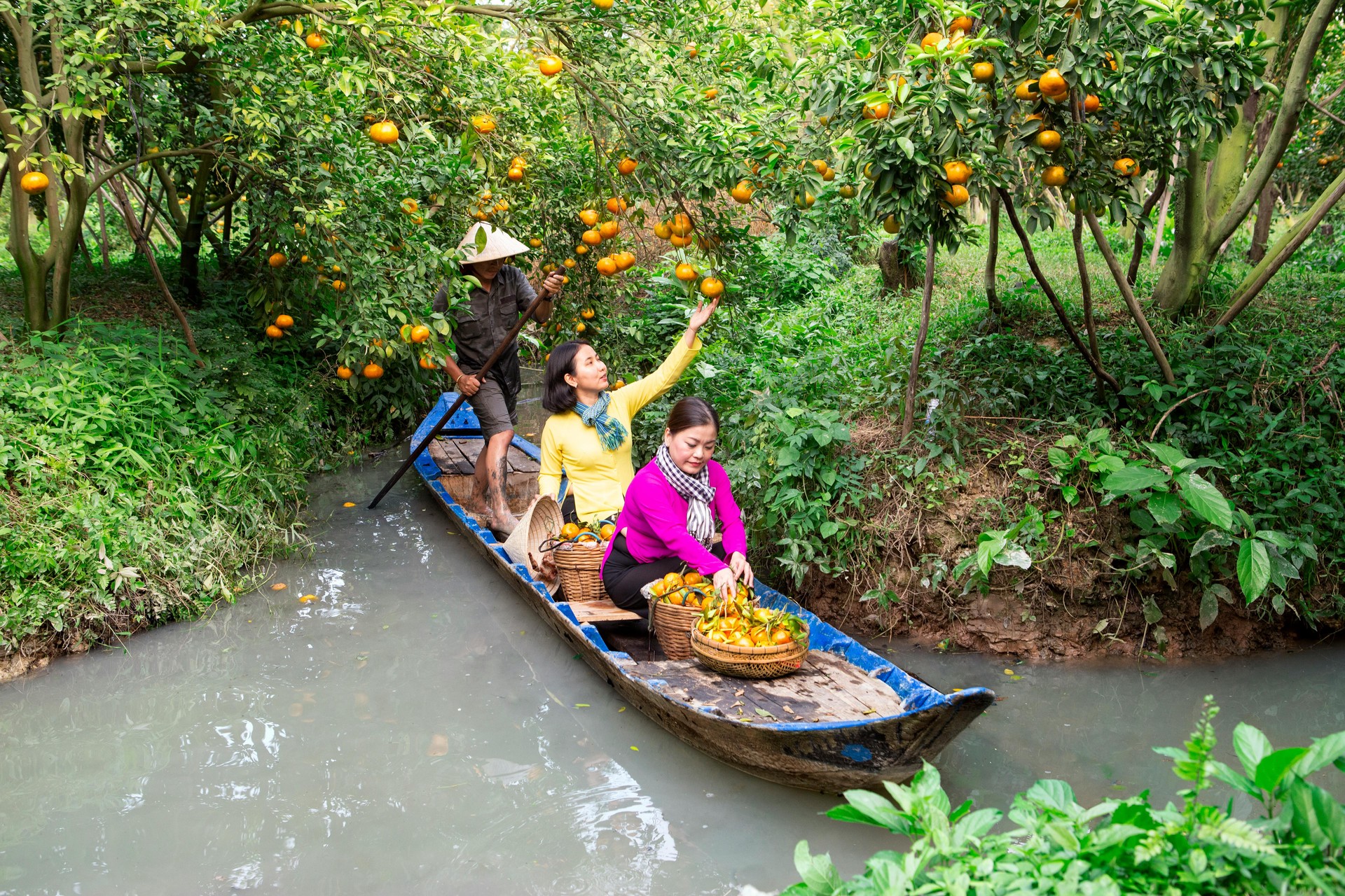 Hinh anh Có Tết 2026: Sau Tết đừng vội quay lại guồng, đi một chuyến để lòng thêm rộng mở 8