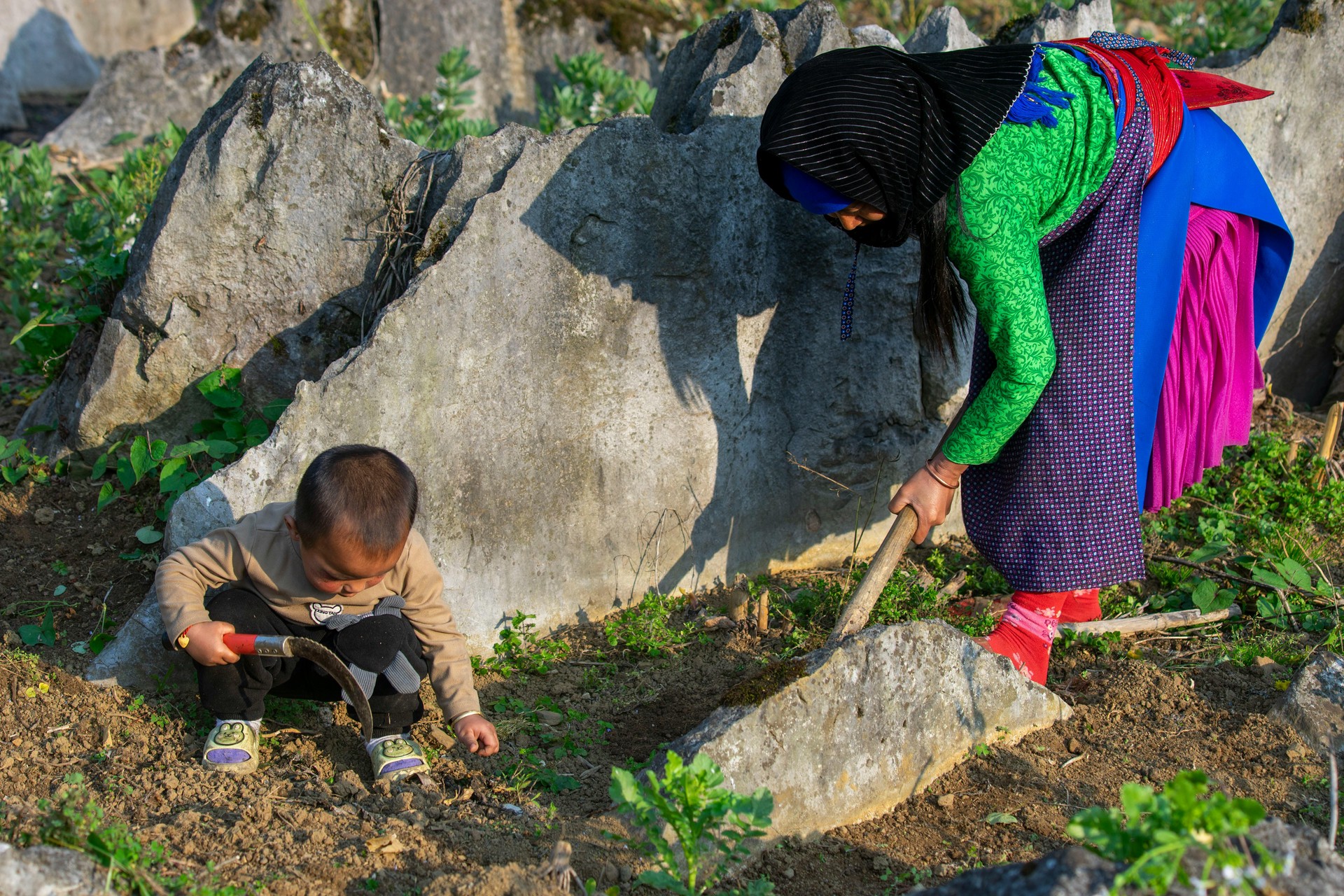 Hinh anh Có Tết 2026: Sau Tết đừng vội quay lại guồng, đi một chuyến để lòng thêm rộng mở 3
