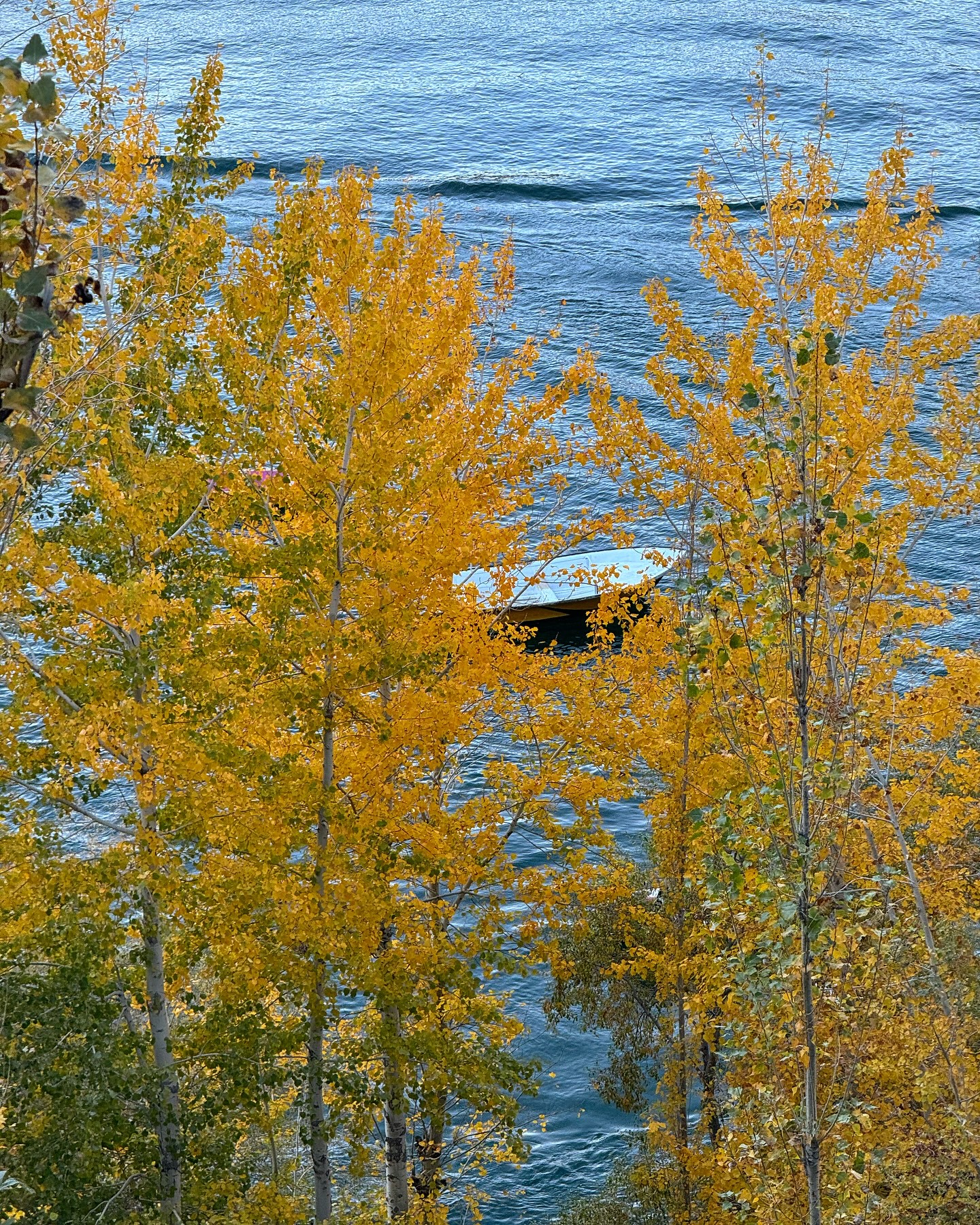 Hinh anh Hành trình qua những giấc mơ: Đi tìm sự tự do bên trong bạn 11