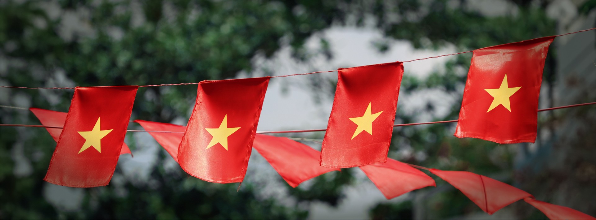 Hinh anh Trở về ngày này năm trước: khi thành phố chuyển mình trong nhịp bước hành quân 8