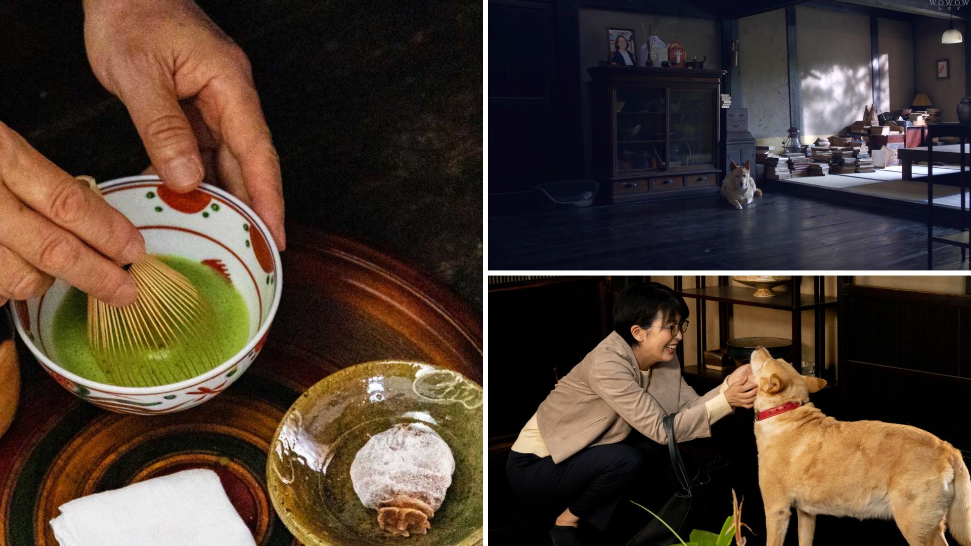 Hinh anh “You can stop running away now. no matter how fast you run, or how far you go, your loneliness will follow” (Tạm dịch: Dừng chạy đi em ơi, bởi dù em có chạy nhanh đến đâu, xa đến đâu, nỗi cô đơn vẫn sẽ kịp đuổi theo). 9