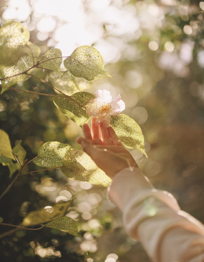 Hinh anh Lối sống chánh niệm dưới góc nhìn ngoại đạo 1