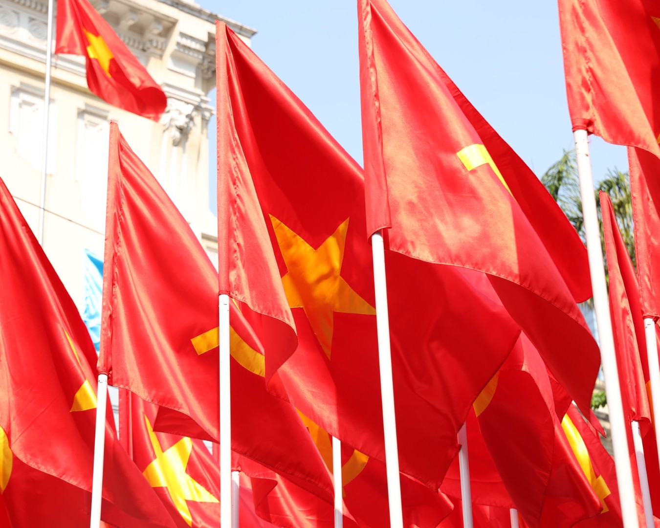 Hinh anh Trở về ngày này năm trước: khi thành phố chuyển mình trong nhịp bước hành quân 7