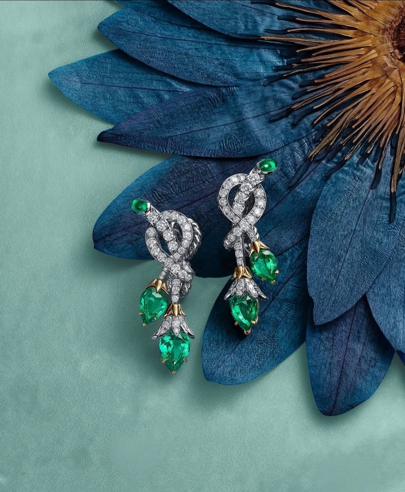 Hinh anh Blue Book 2026 - Chương Xuân: Bản tình ca trong khu vườn cổ tích 1