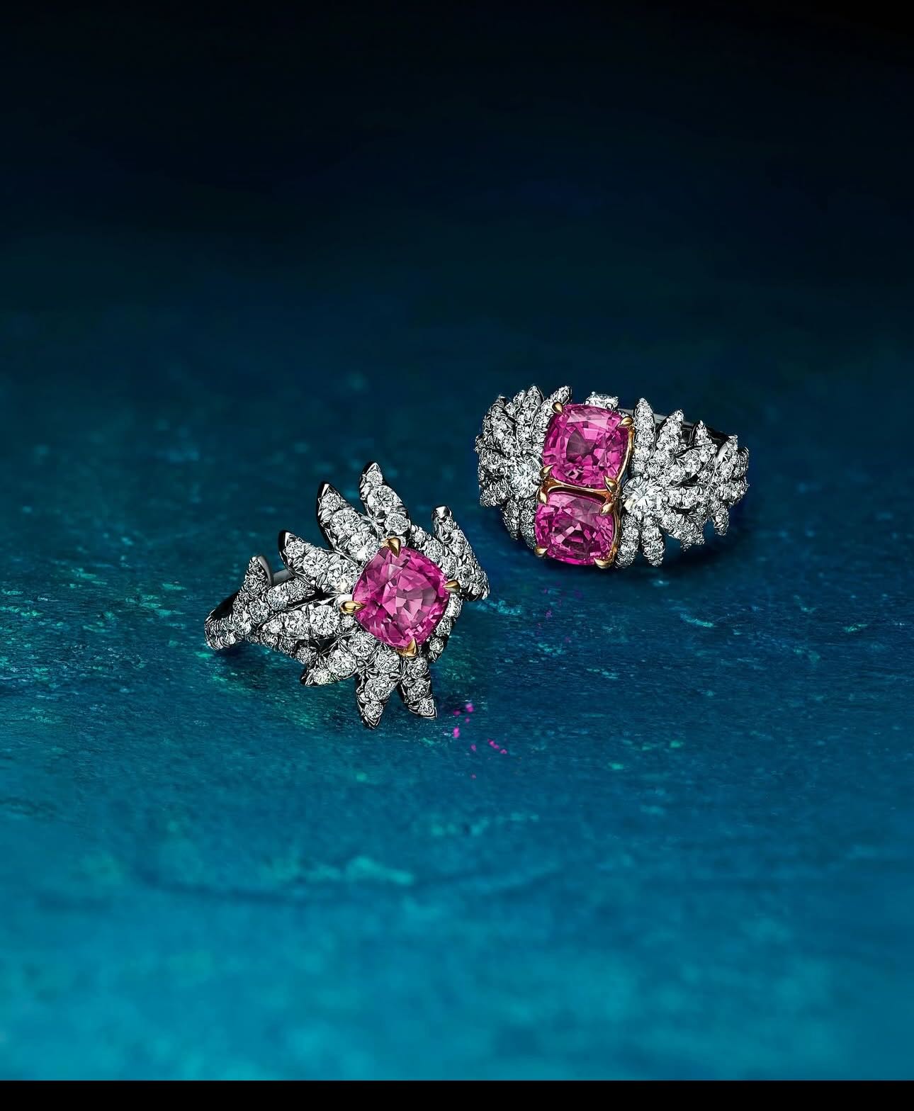 Hinh anh Blue Book 2026 - Chương Xuân: Bản tình ca trong khu vườn cổ tích 2