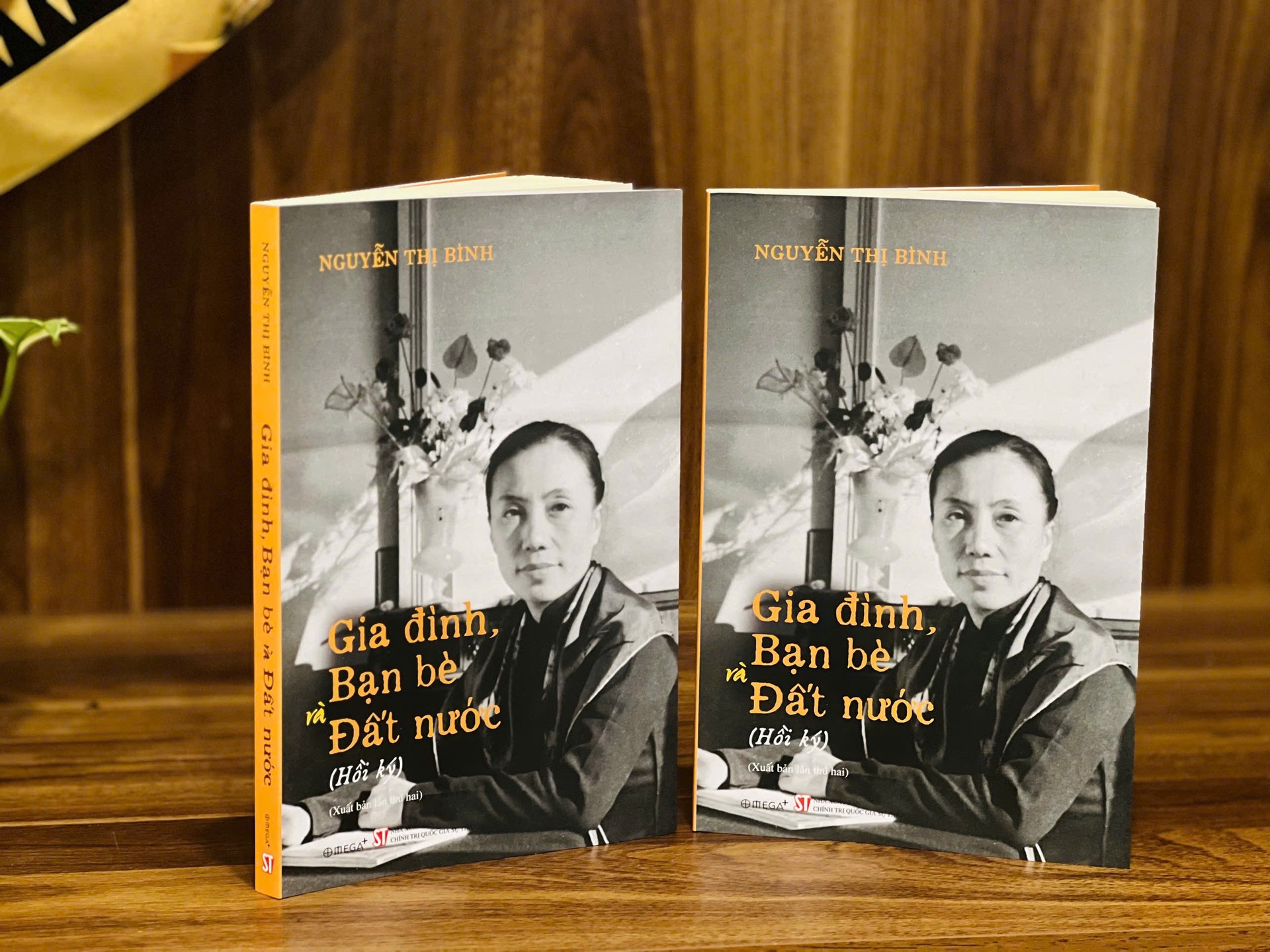 Hinh anh Madame Bình: Vị thế Việt Nam trong dáng hình người phụ nữ 6
