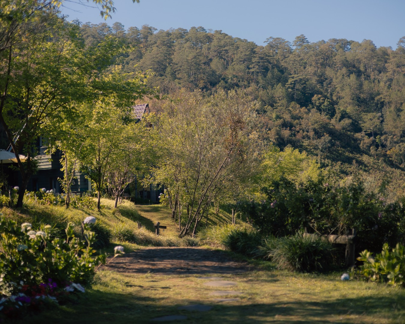Hinh anh Lat Valley Retreat Village: Gói cả bình yên cao nguyên vào thung lũng 2