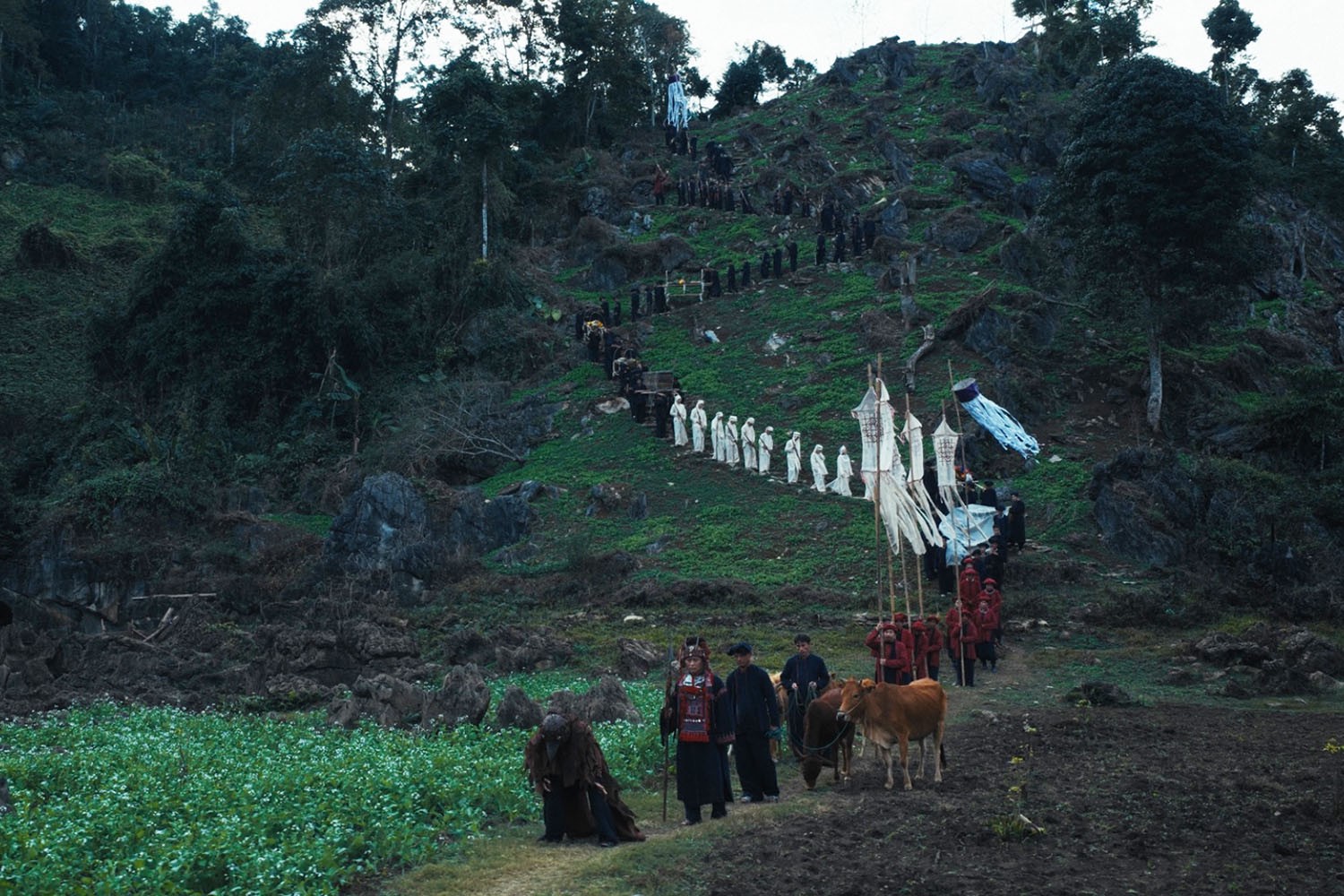Hinh anh “Phí Phông: Quỷ máu rừng thiêng”: Công thức mới cho bom tấn kinh dị Việt? 1