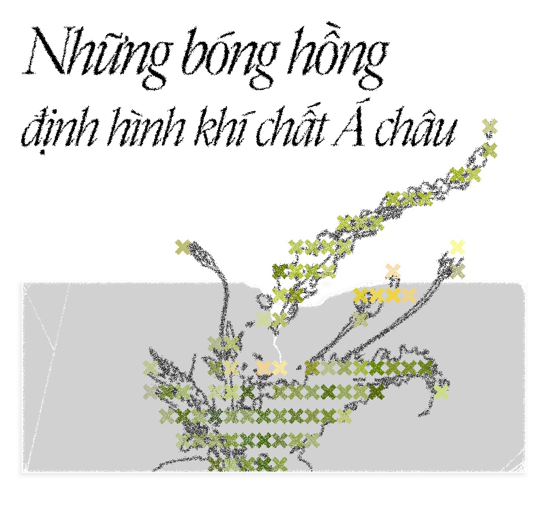 Hinh anh Những bóng hồng định hình khí chất Á châu 2