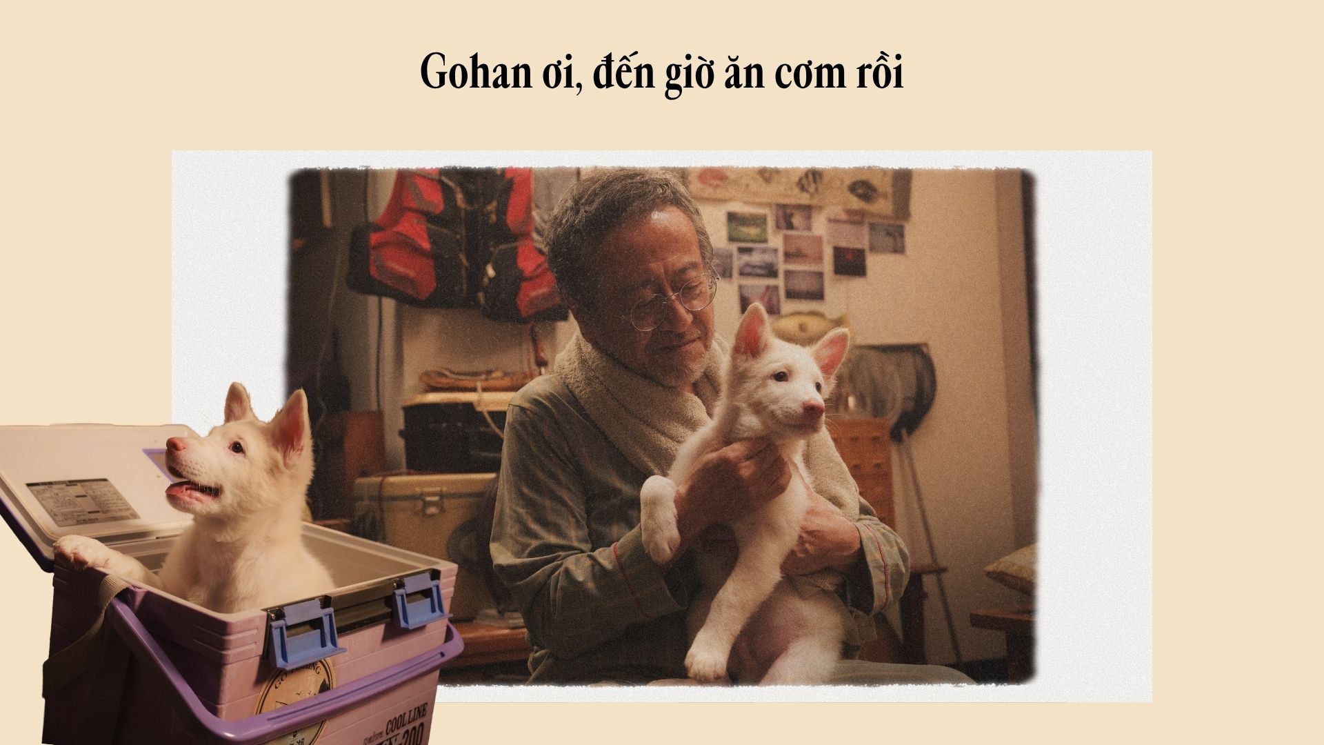 Hinh anh “ 2