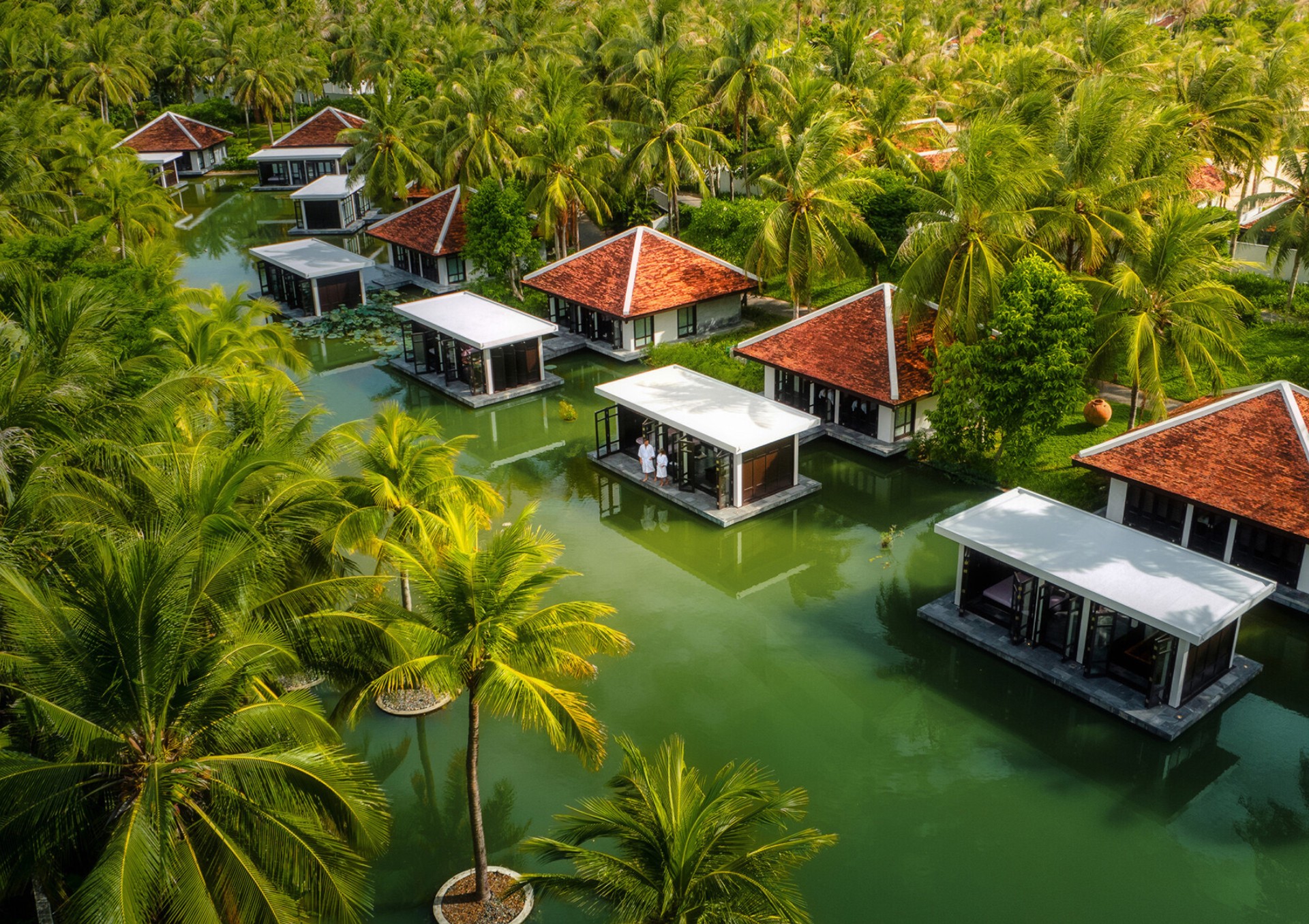 Hinh anh Mỗi bước chân, một nhịp thở: Hành trình khơi dậy năng lượng thuần khiết 1