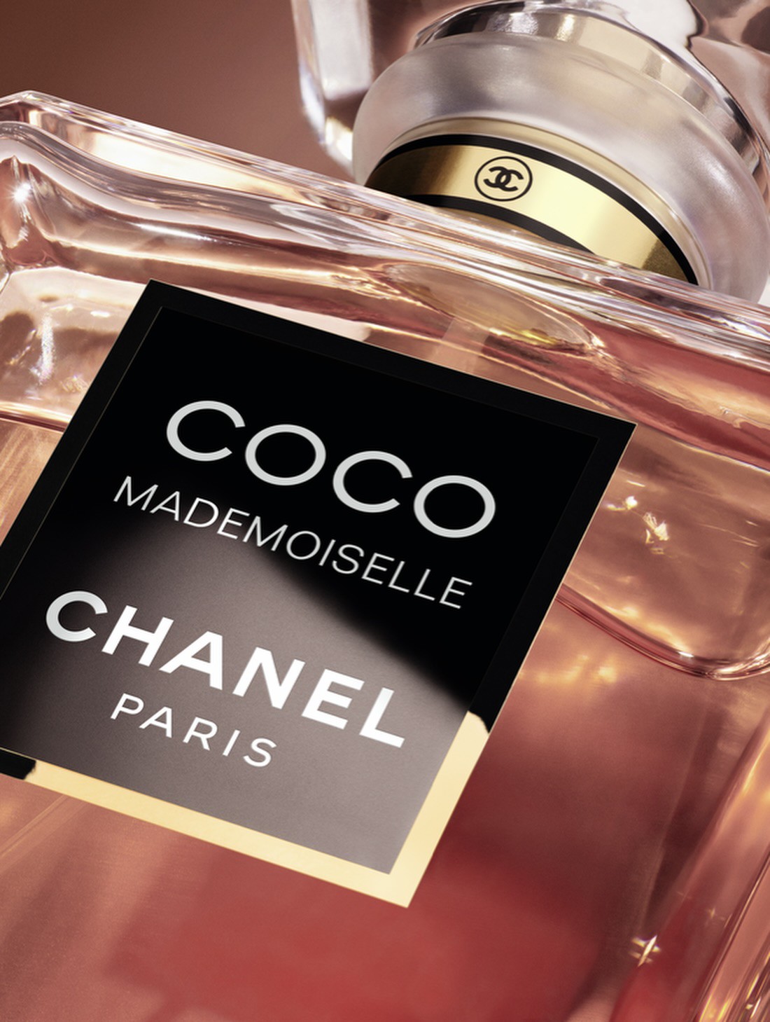 Hinh anh CRUSH ABSOLU: Dấu hương mới của CHANEL COCO MADEMOISELLE 2