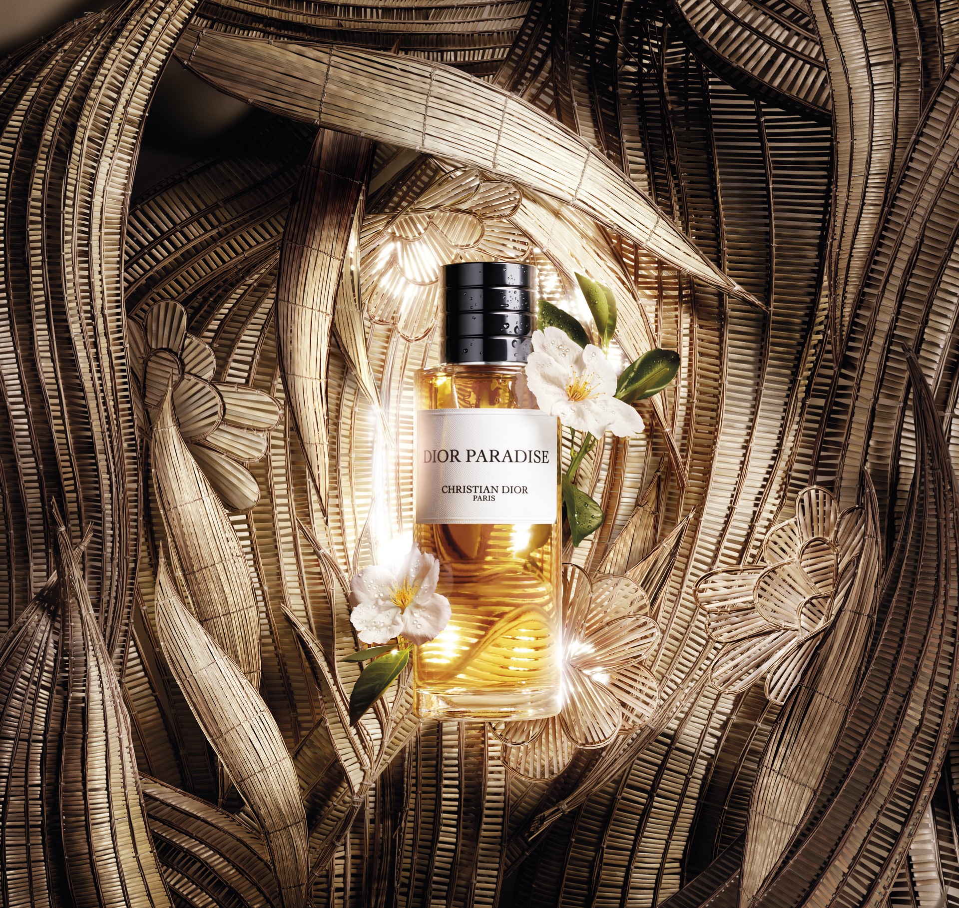 Hinh anh Dior Paradise: Dấu ấn hương hạnh nhân đến từ Provence 10