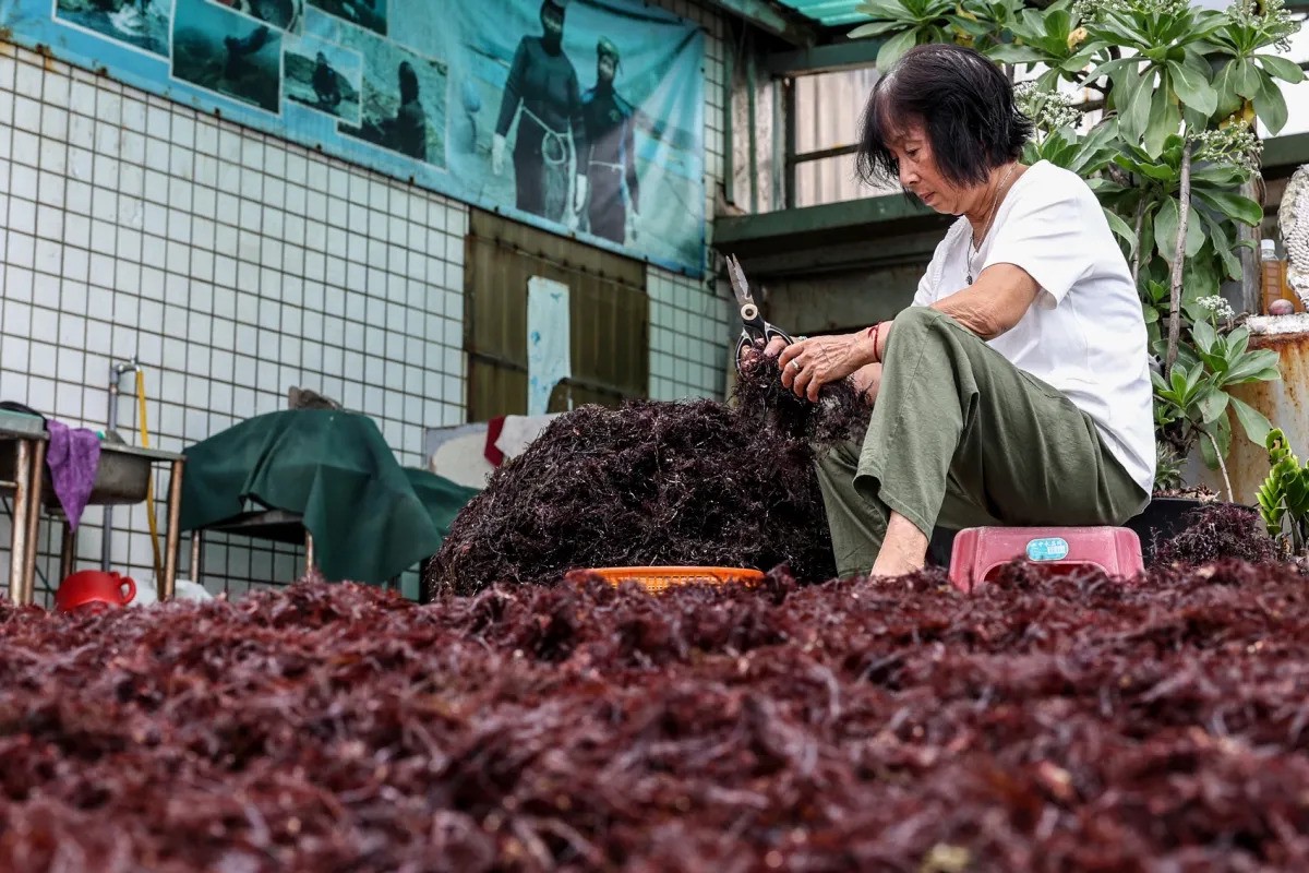 Hinh anh Những ngành nghề “mẹ truyền con nối” vắng bóng người kế tục 11