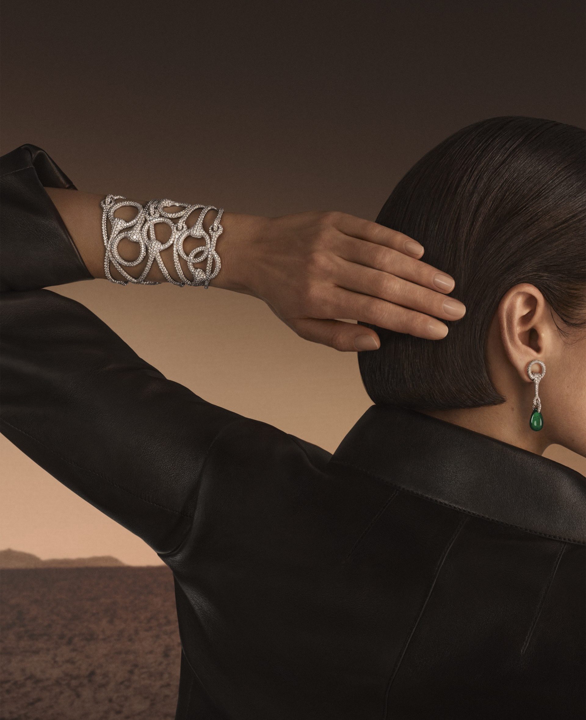 Hinh anh Into The Horsescape: Dấu yên cương giữa miền đá quý Hermès 5