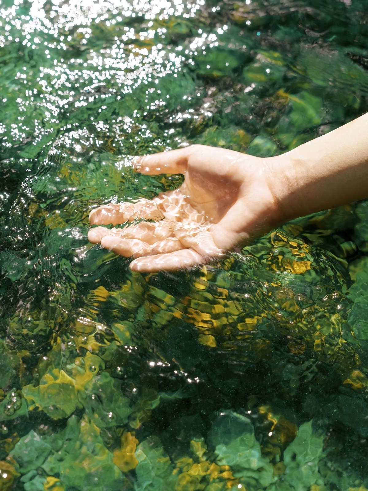 Hinh anh “Không có con đường nào đi đến hạnh phúc, hạnh phúc chính là con đường” - Thiền sư Thích Nhất Hạnh. 1
