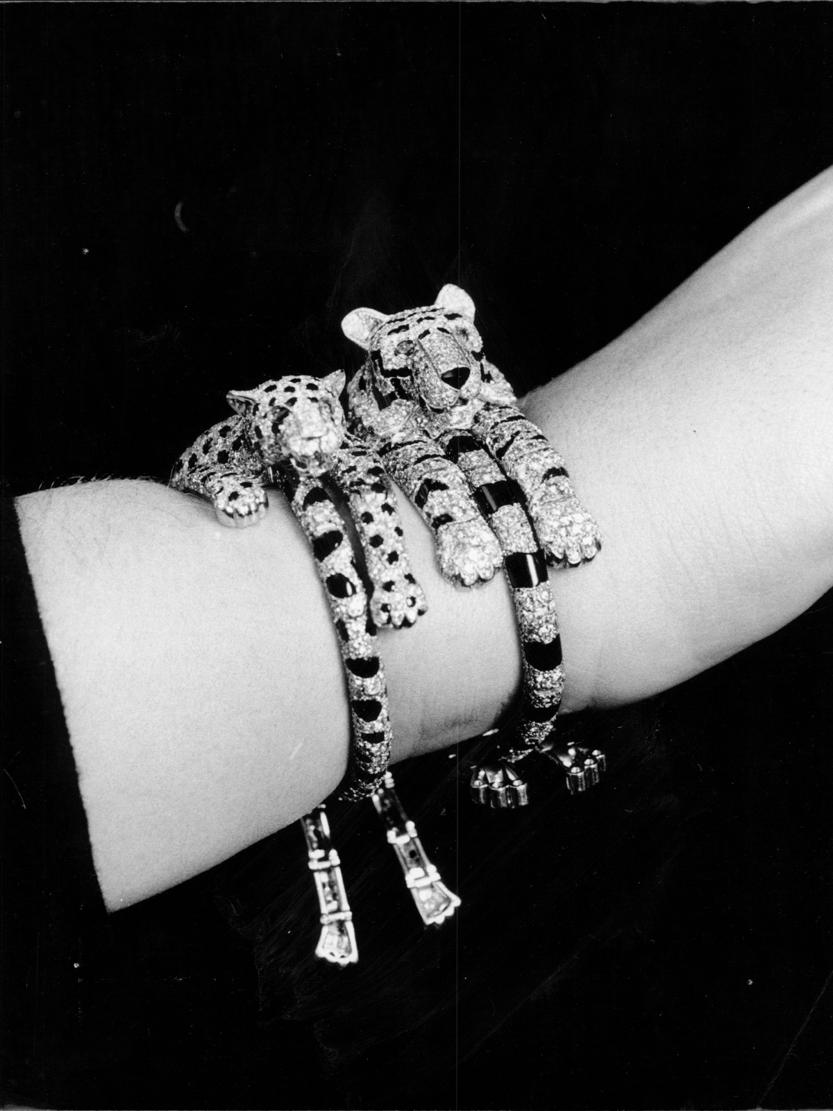 Hinh anh Báo đốm Cartier tái sinh giữa khúc hòa ca Le Chœur des Pierres 2