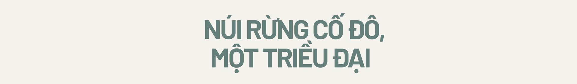 Hinh anh Hộ Linh Tráng Sĩ - Bí Ẩn Mộ Vua Đinh: The Modern Guardian 6