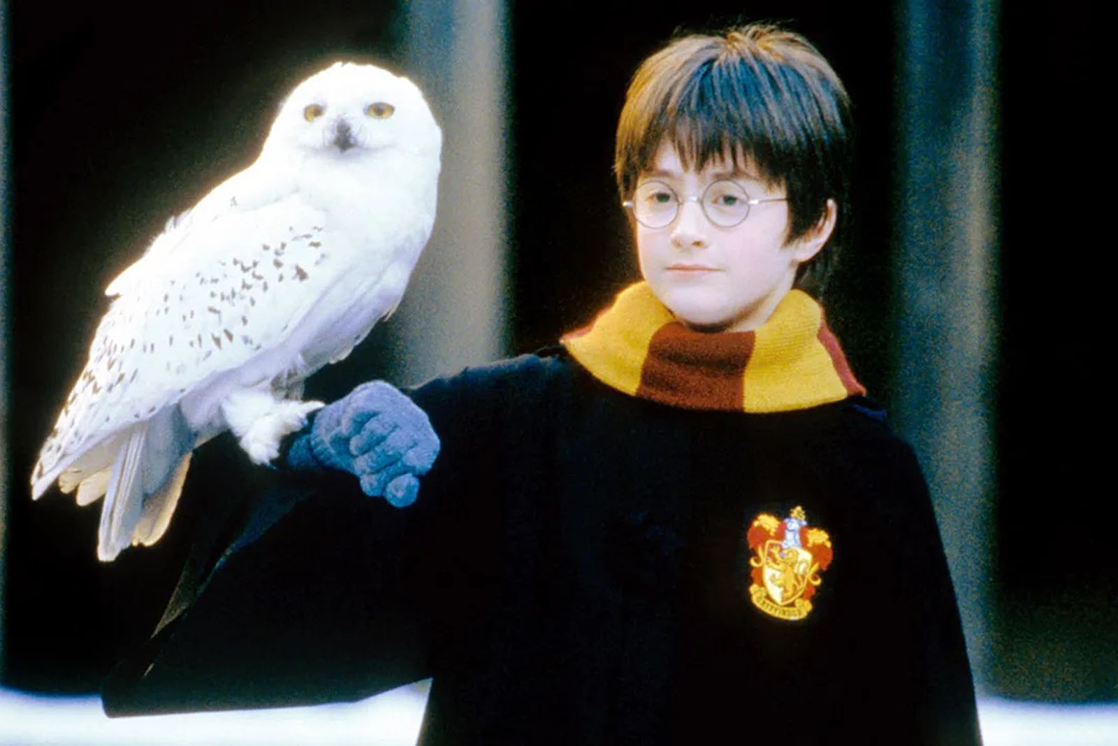 Hinh anh 25 năm Harry Potter: Chuyến tàu Hogwarts lại hú còi, một chương mới mở ra 2