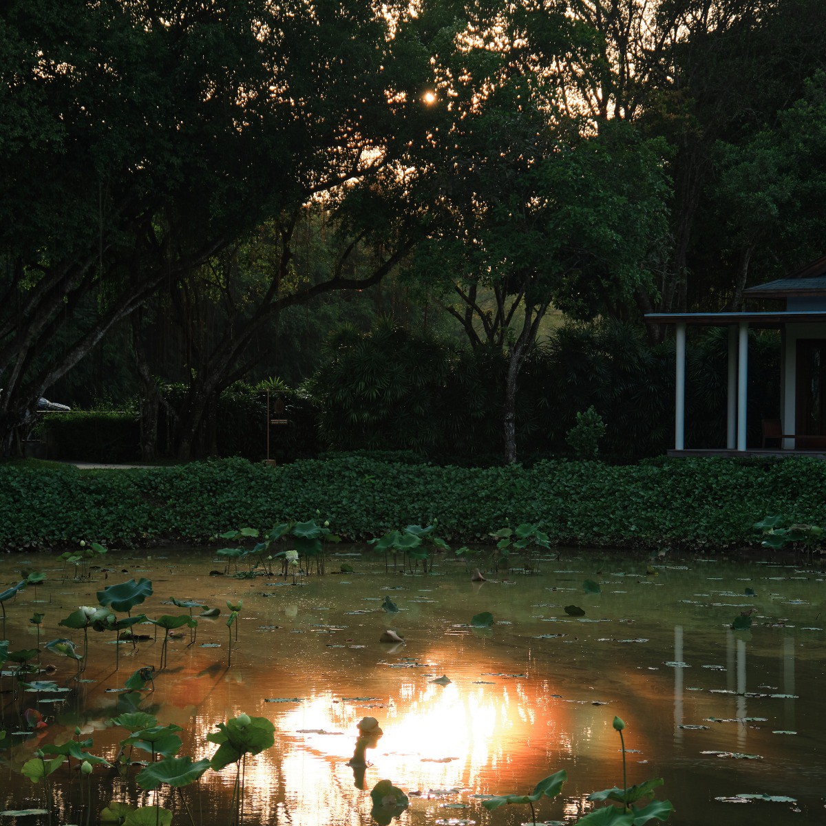 Hinh anh Legacy Mekong, Can Tho: Xuôi dòng sông Hậu tìm về nếp nhà miệt vườn 19