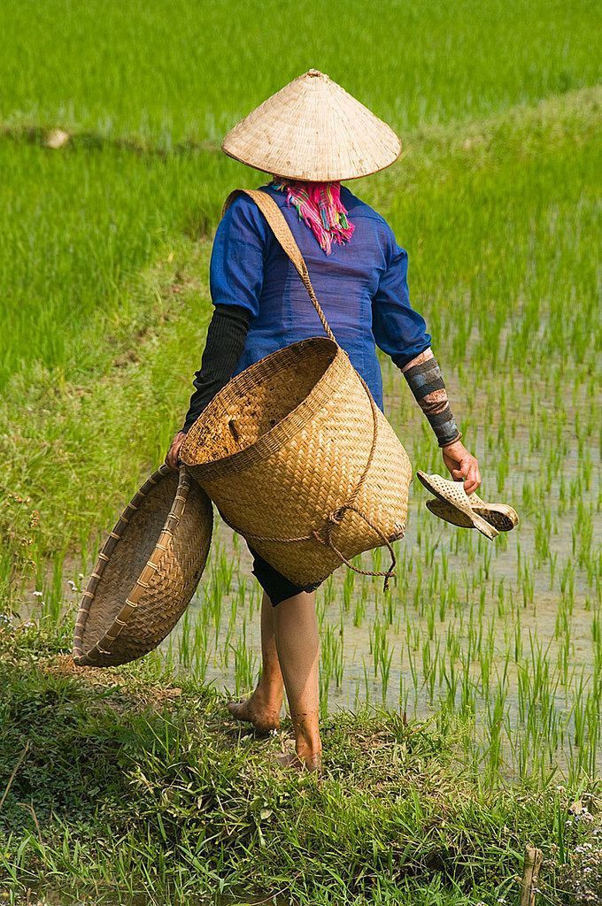 Hinh anh Ngày Quốc tế Phụ nữ Nông thôn 15/10: Những bất bình đẳng giới phía sau đồng ruộng 3