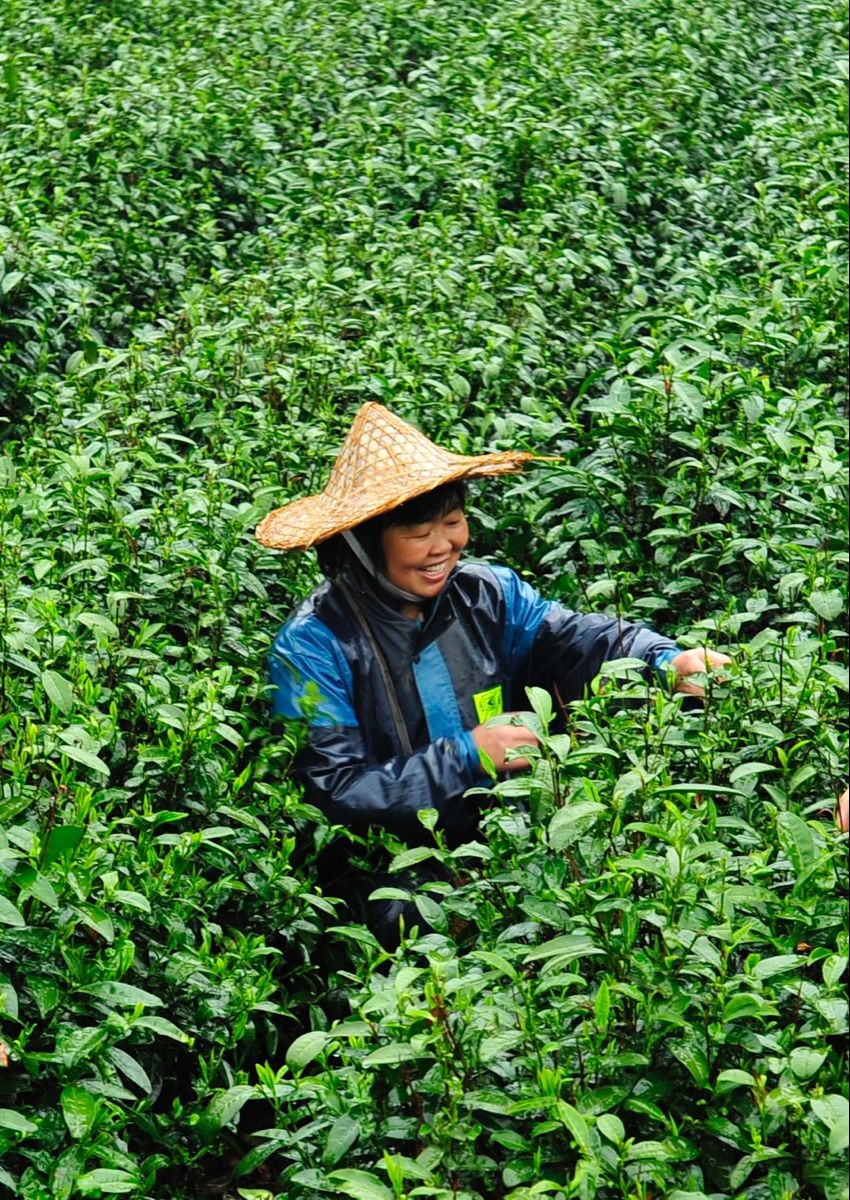 Hinh anh  1